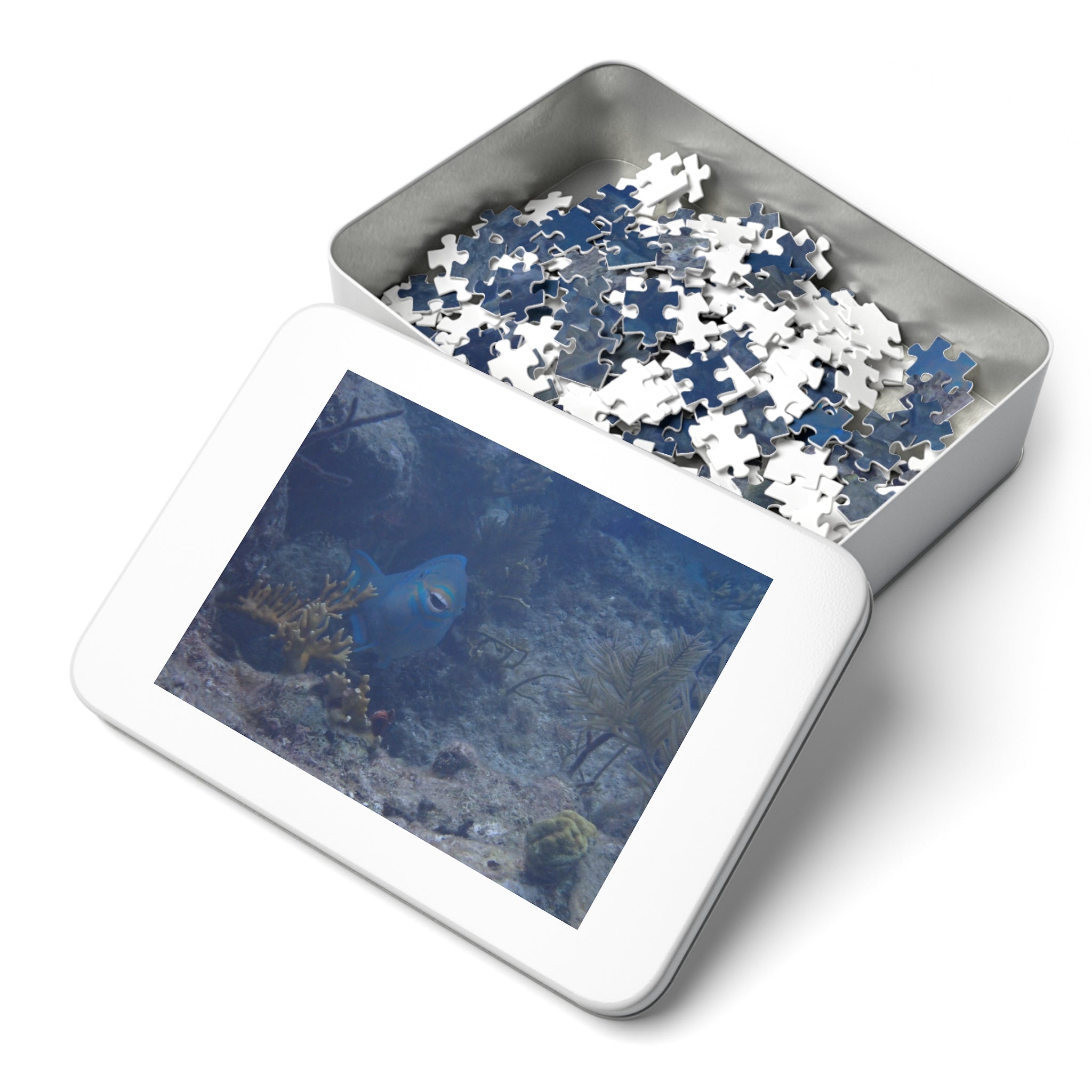 Smiling Parrotfish Jigsaw Puzzle with Tin – Ocean Reef Puzzle Gift