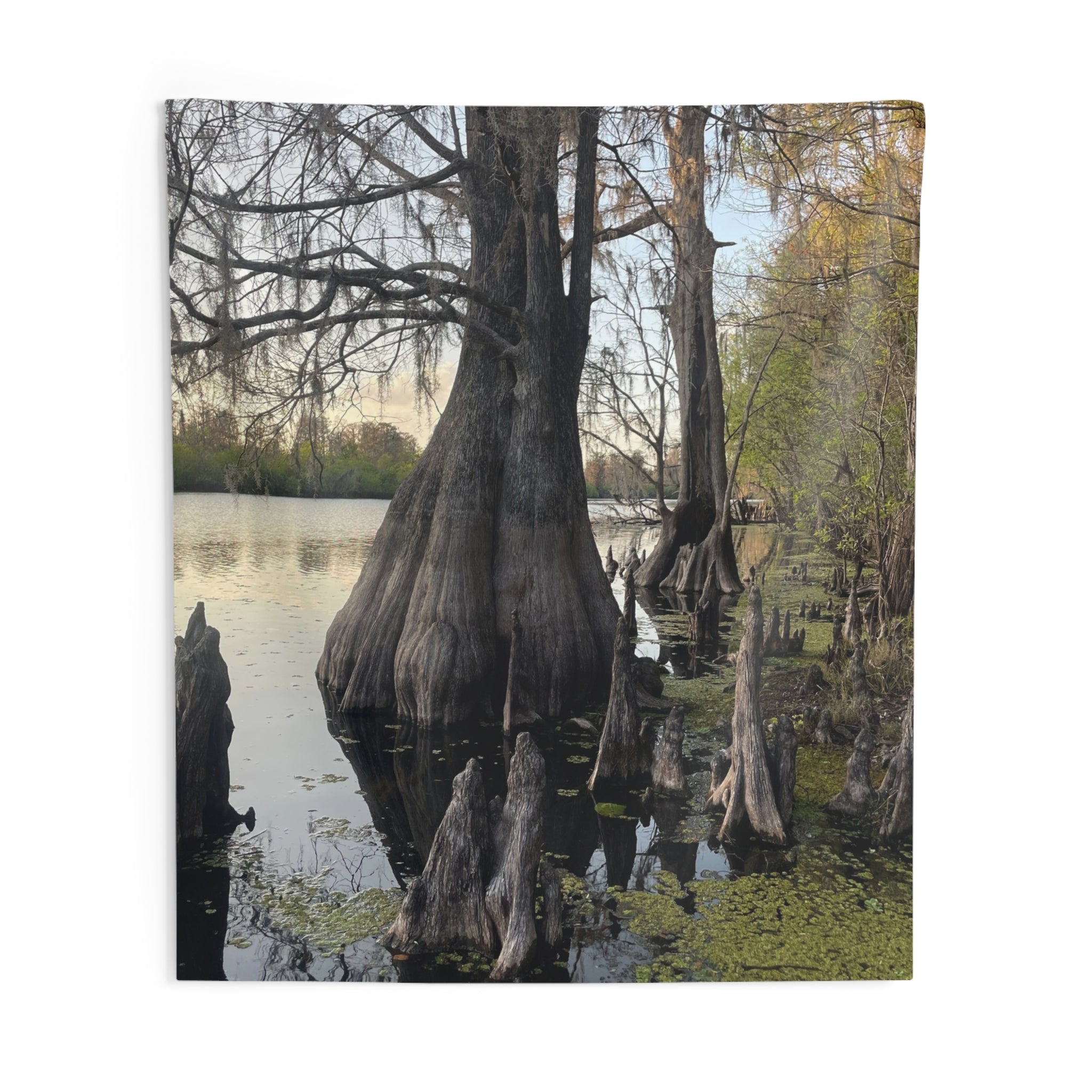Swamp Wall Tapestry — Moody Nature Scene Décor