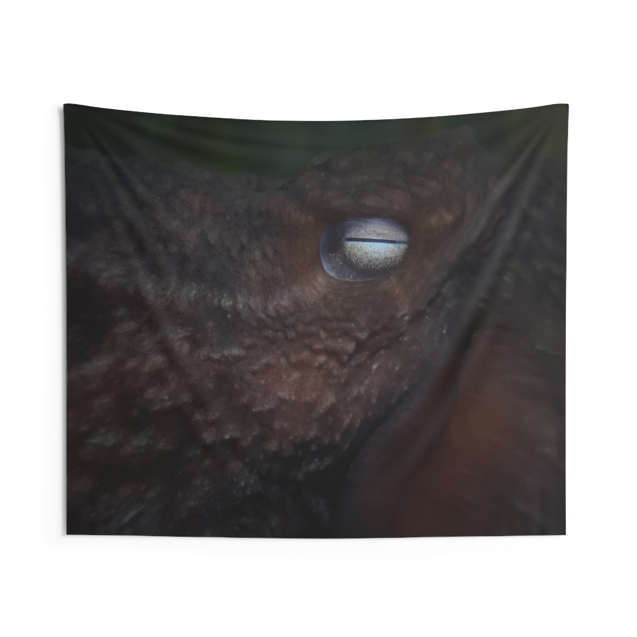 Giant Pacific Octopus Wall Tapestry — Close-Up Photography Decor
