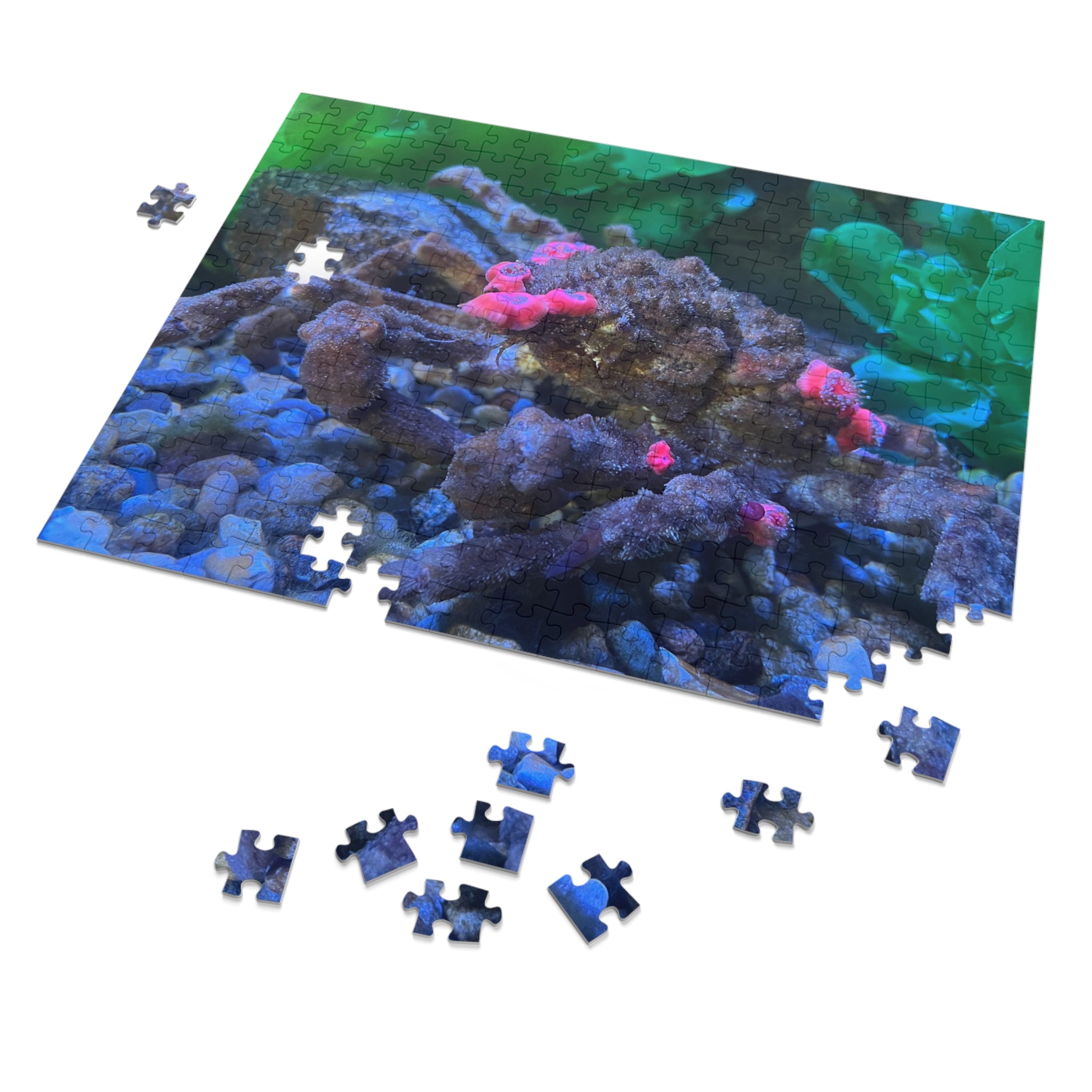 Decorator Crab Jigsaw Puzzle — Marine Life Puzzle with Colorful Anemones