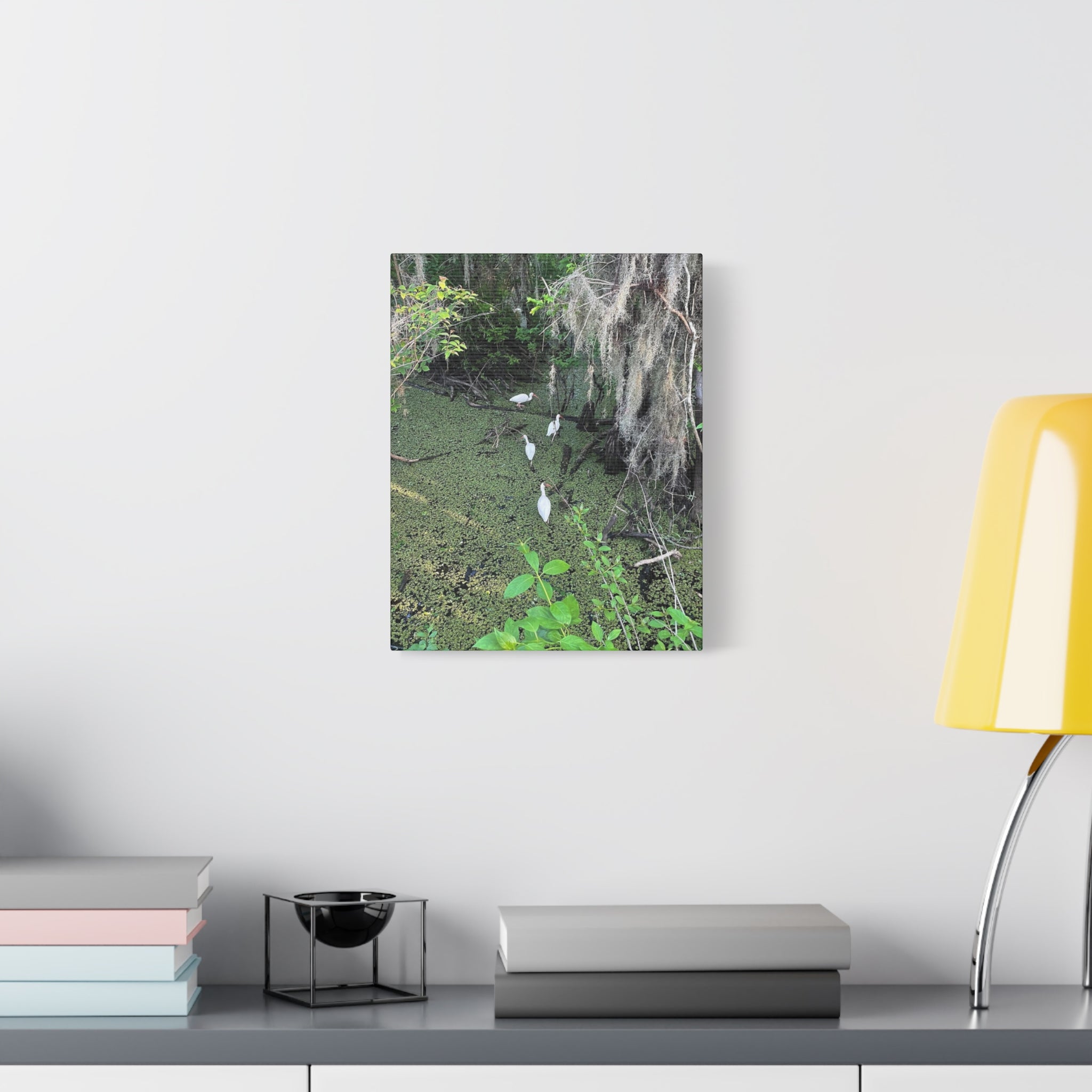 Swamp Egrets Canvas Print — Matte Stretched Nature Wall Art