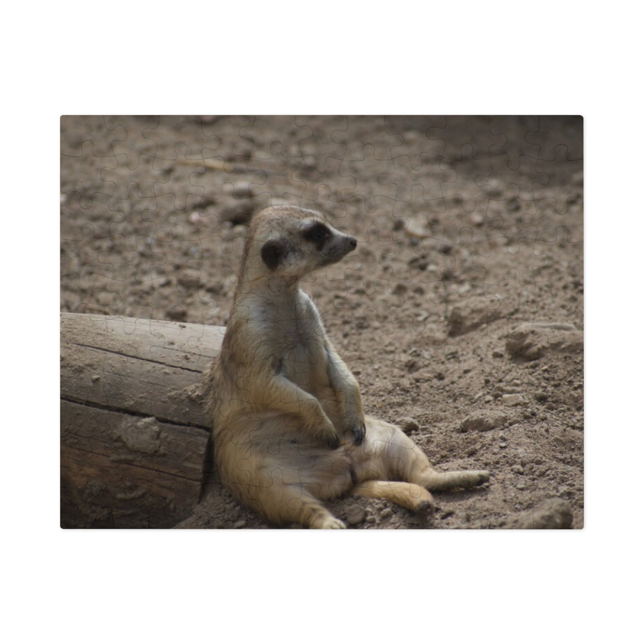 Meerkat Relaxing Jigsaw Puzzle Tin — Wildlife Puzzle Gift