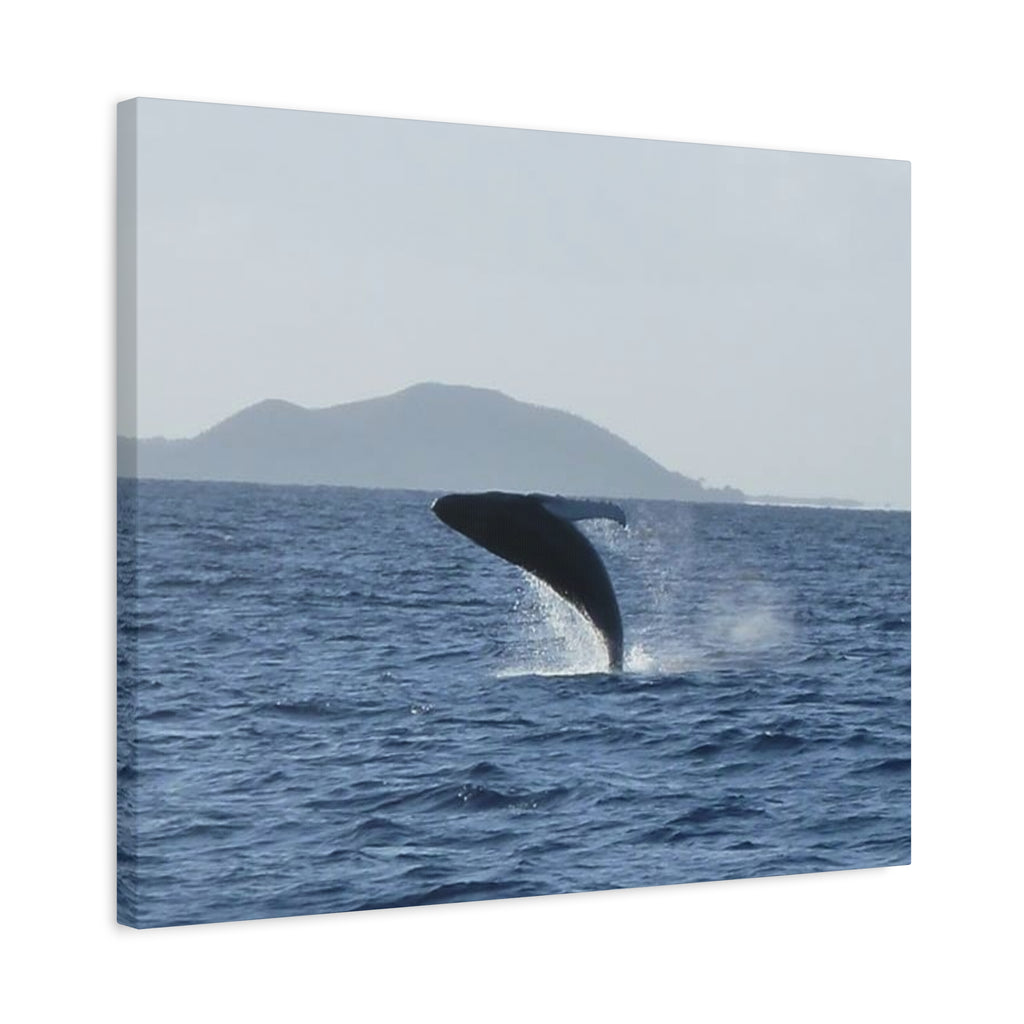 Humpback Whale Breach Matte Canvas Wall Art