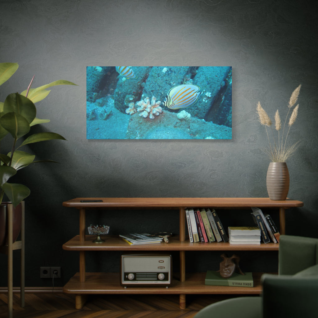 Tropical Butterflyfish Canvas Print — Underwater Coral Reef Wall Art
