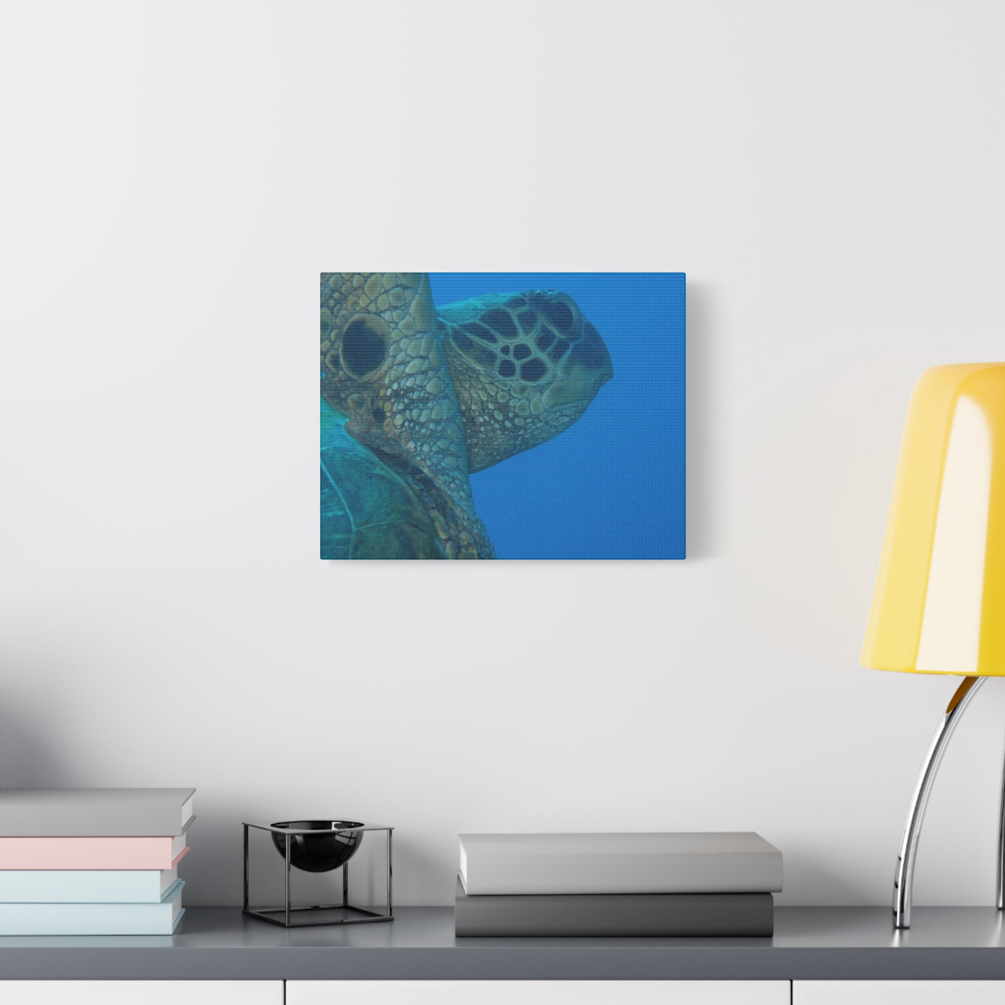 Green Sea Turtle Wall Canvas — Matte Stretched Ocean Photography Art