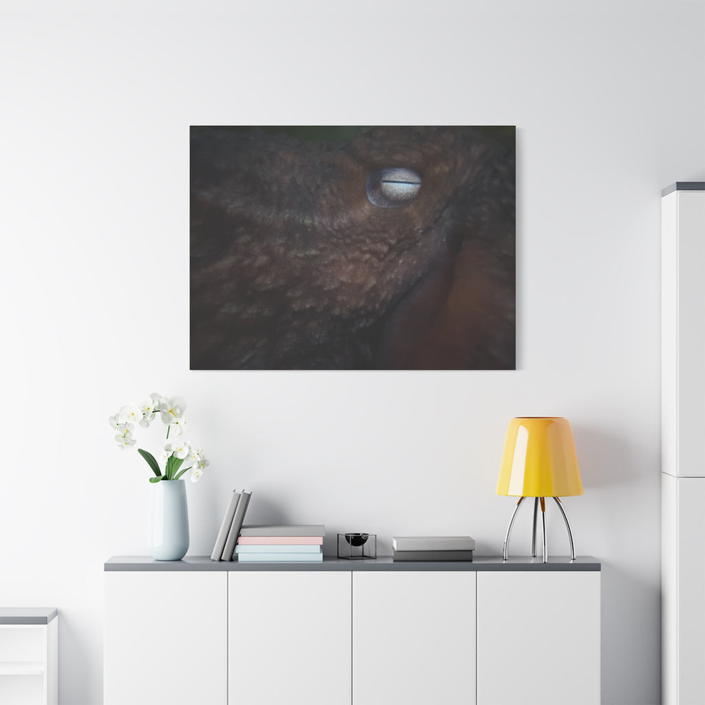 Octopus Eye Matte Canvas Print — Deep Sea Photography Wall Art
