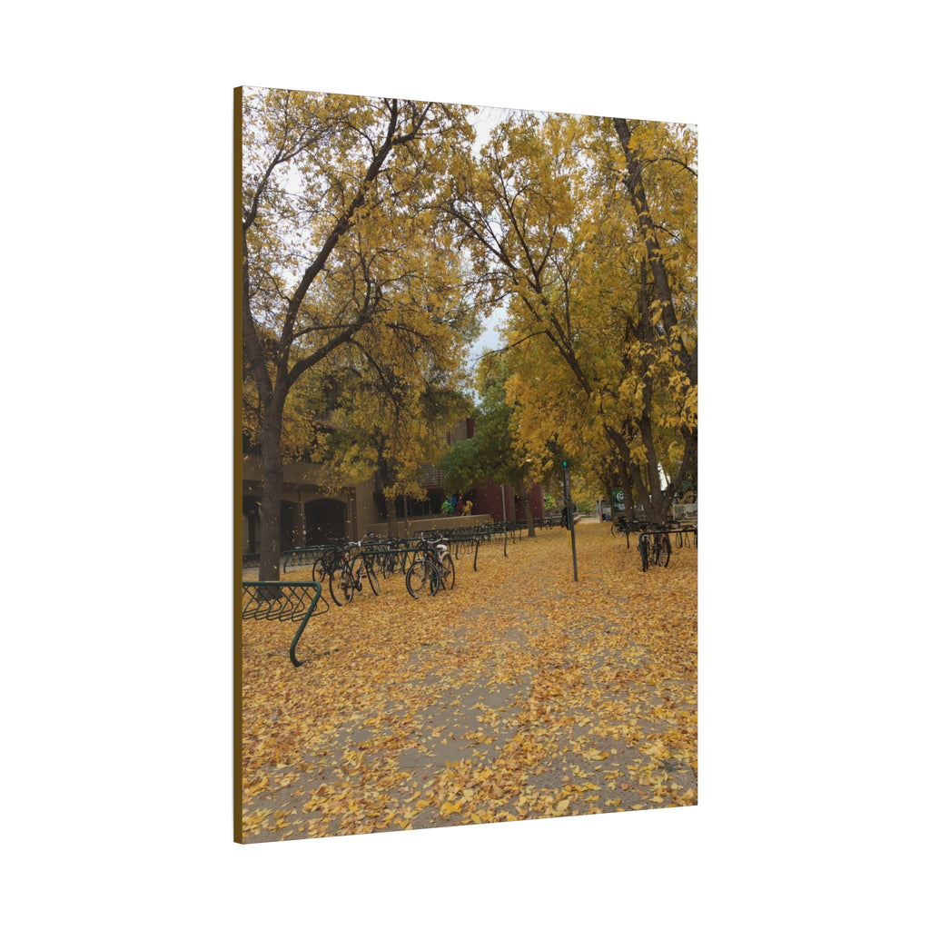 Autumn Campus Walk Matte Canvas Print