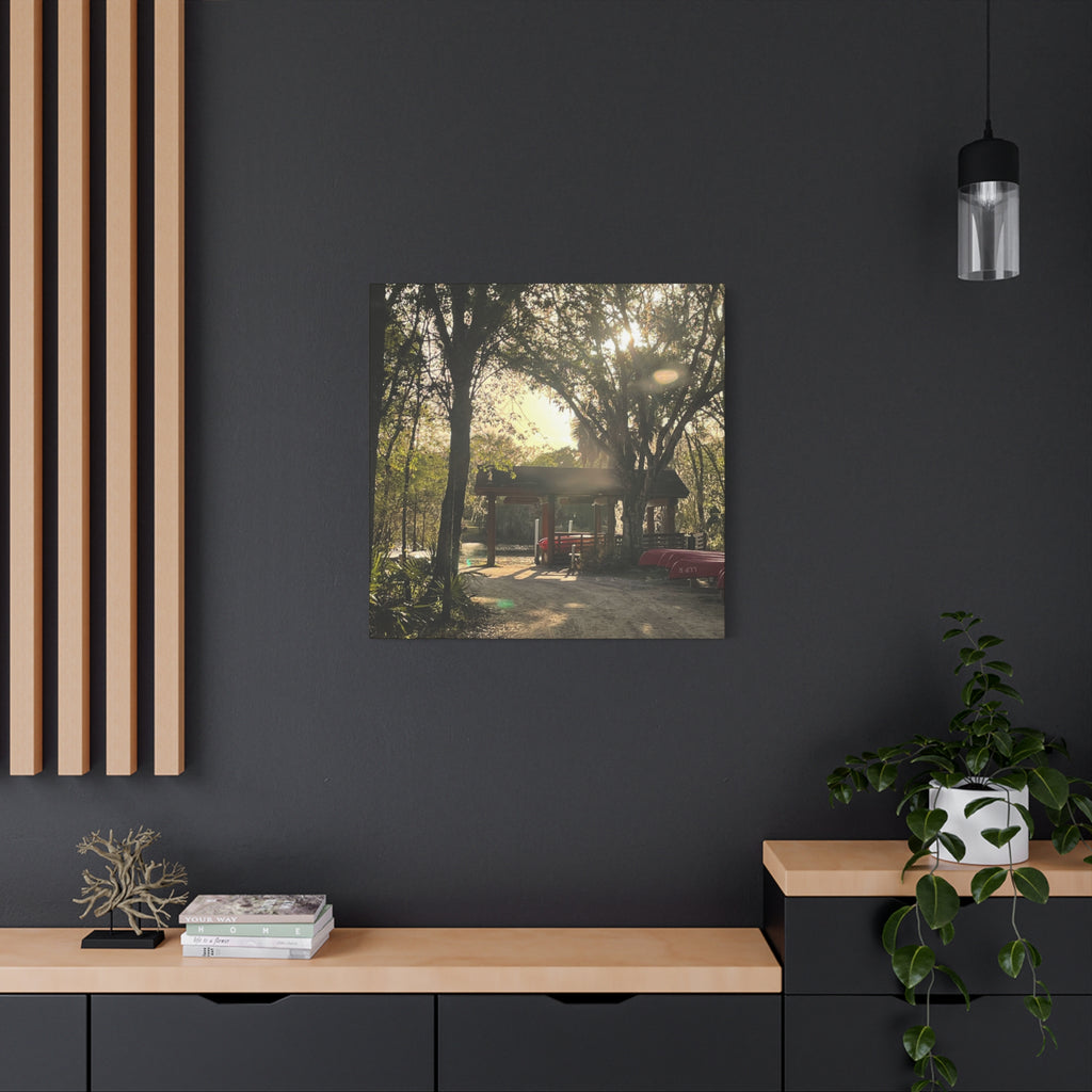 Hazy Morning Kayak - Sunlit Forest Matte Stretched Wall Art