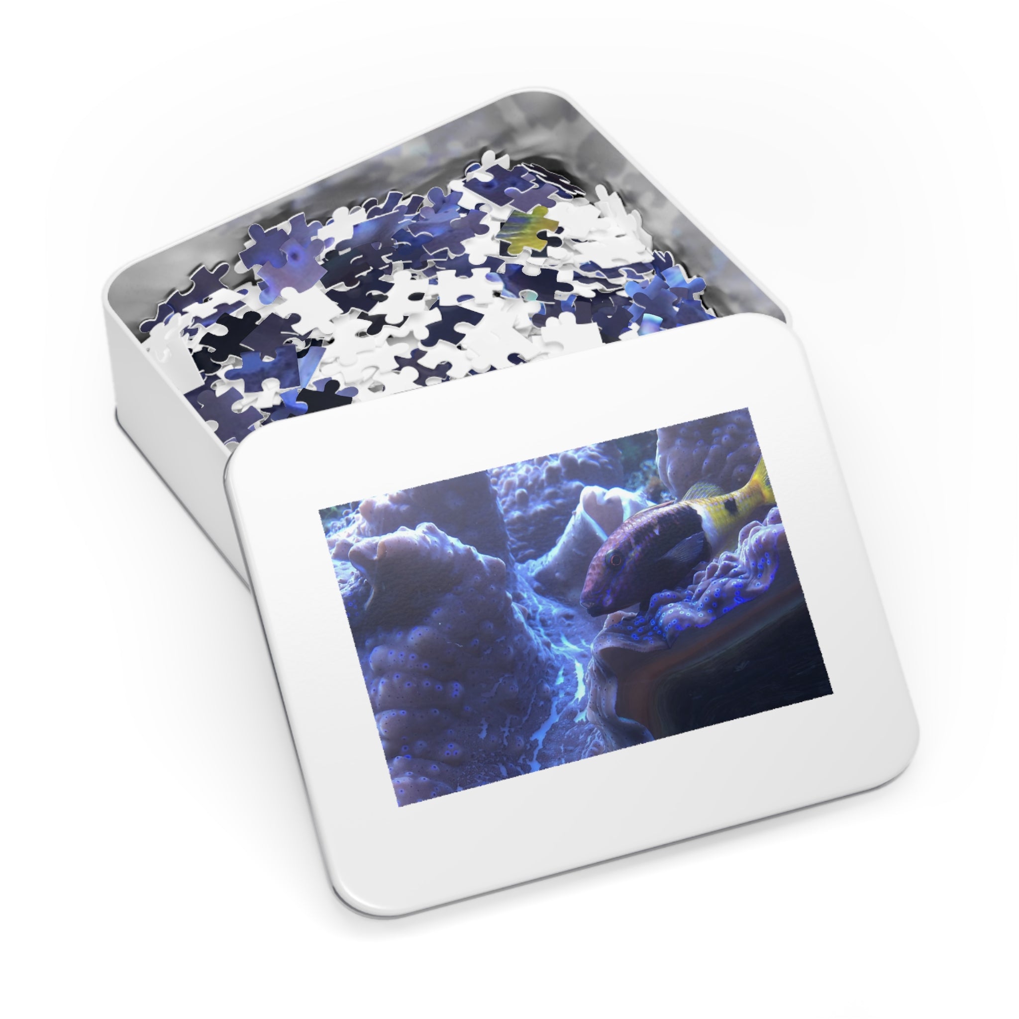 Giant Clam Reef Puzzle — Colorful Jigsaw Puzzle with Tin