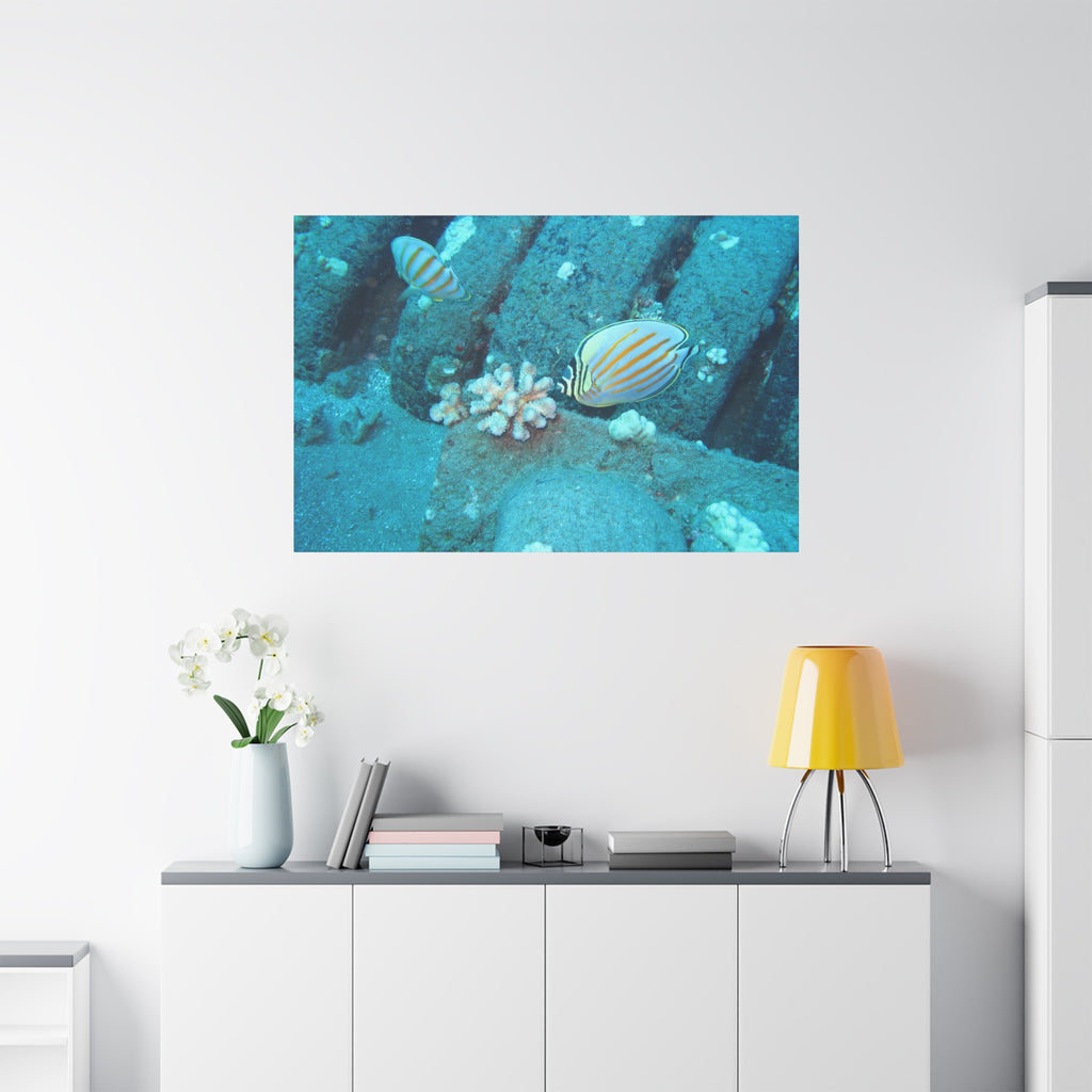 Tropical Butterflyfish Canvas Print — Underwater Coral Reef Wall Art