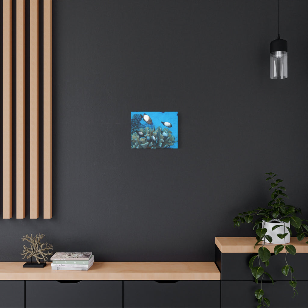 Underwater Coral Reef Canvas Wall Art — Tropical Fish Matte Stretched Canvas