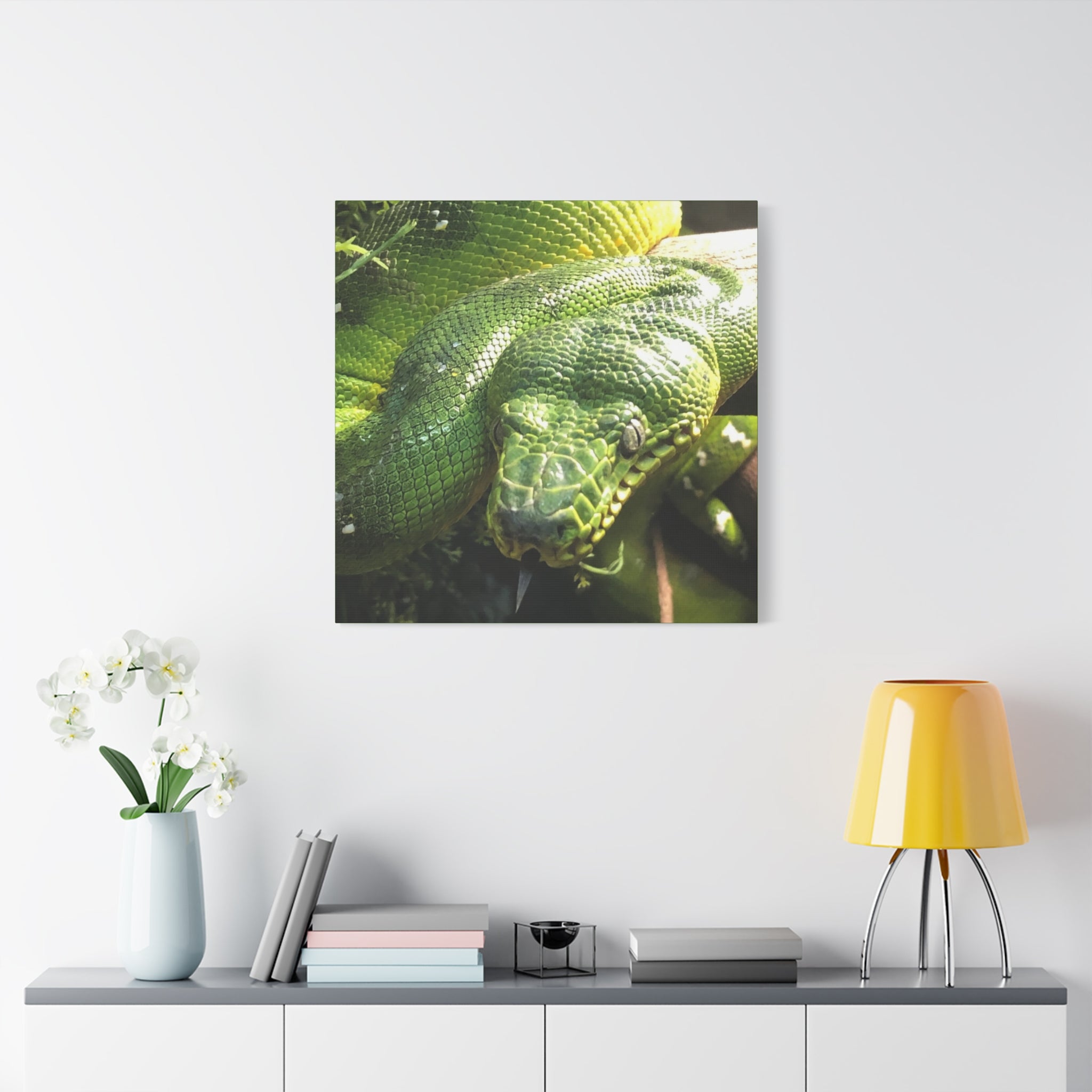Green Tree Python Canvas Print — Tropical Snake Wall Art (Matte Stretched)