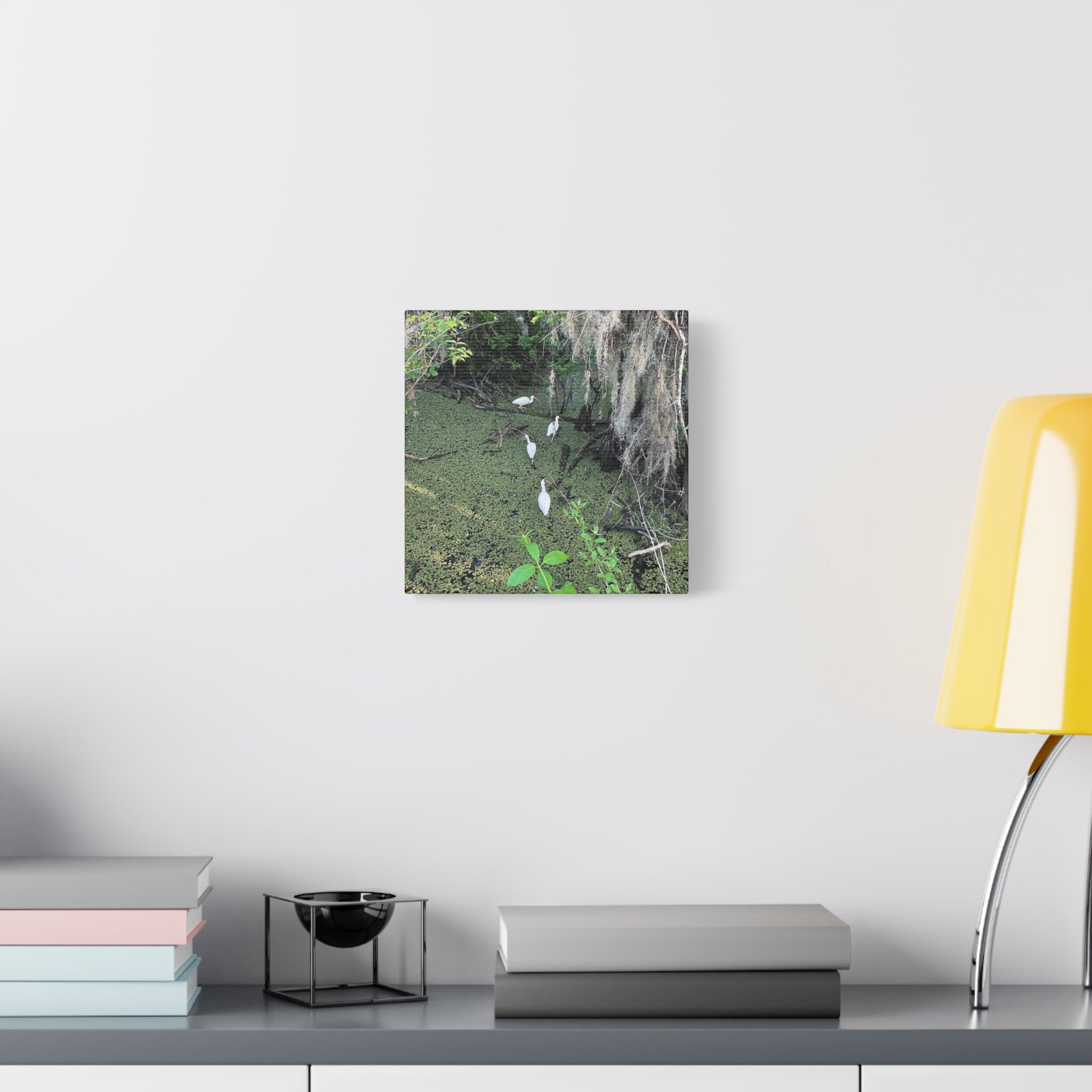 Swamp Egrets Canvas Print — Matte Stretched Nature Wall Art