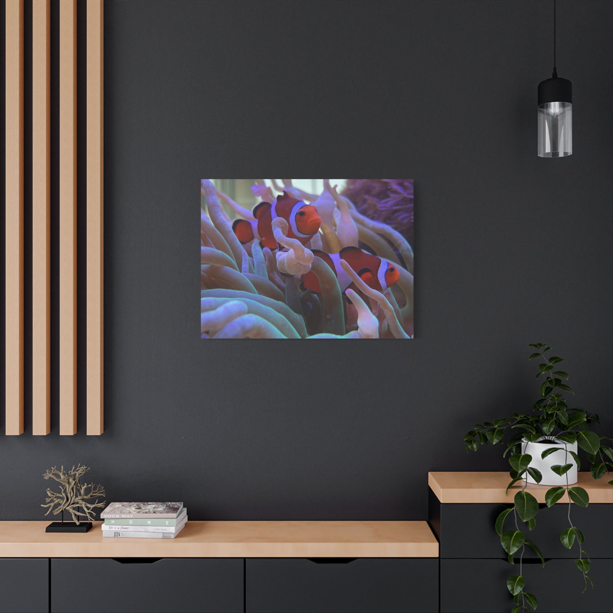 Clownfish Reef Matte Stretched Canvas Wall Art