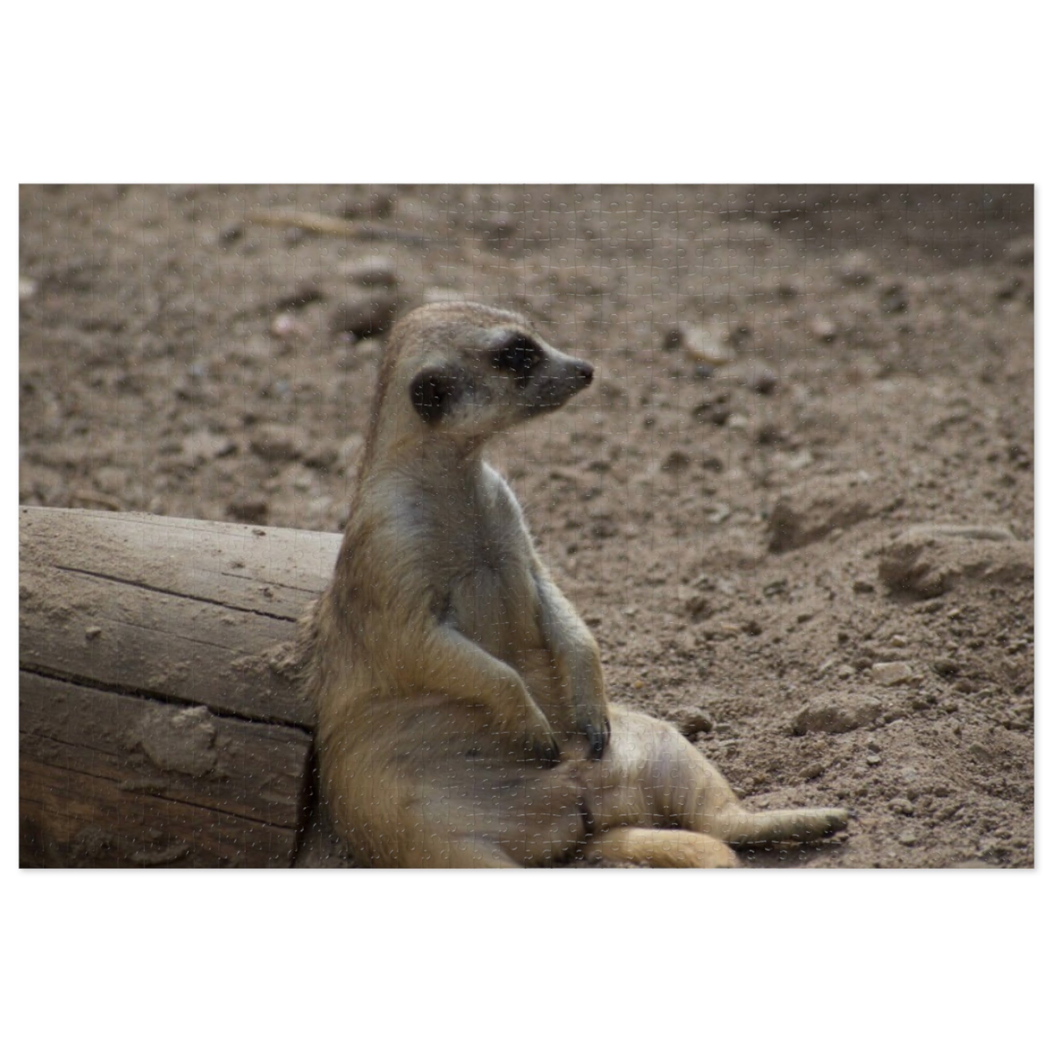 Meerkat Relaxing Jigsaw Puzzle Tin — Wildlife Puzzle Gift