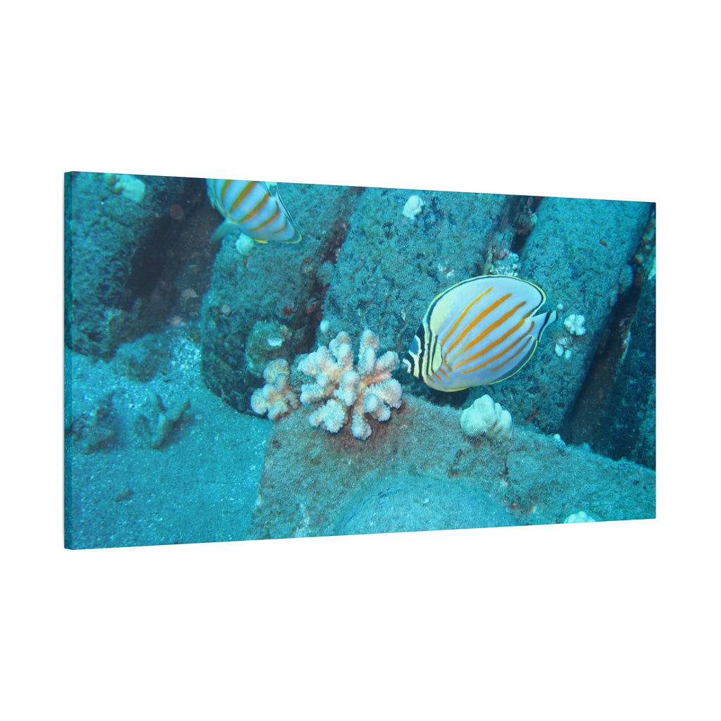 Tropical Butterflyfish Canvas Print — Underwater Coral Reef Wall Art
