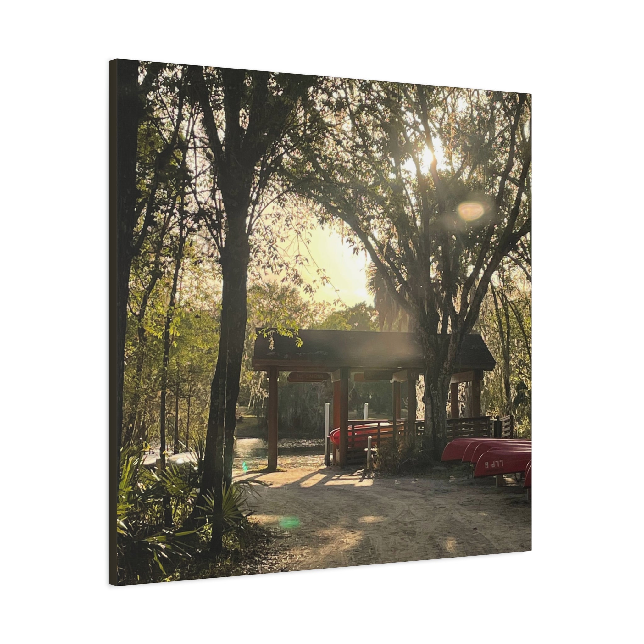Hazy Morning Kayak - Sunlit Forest Matte Stretched Wall Art