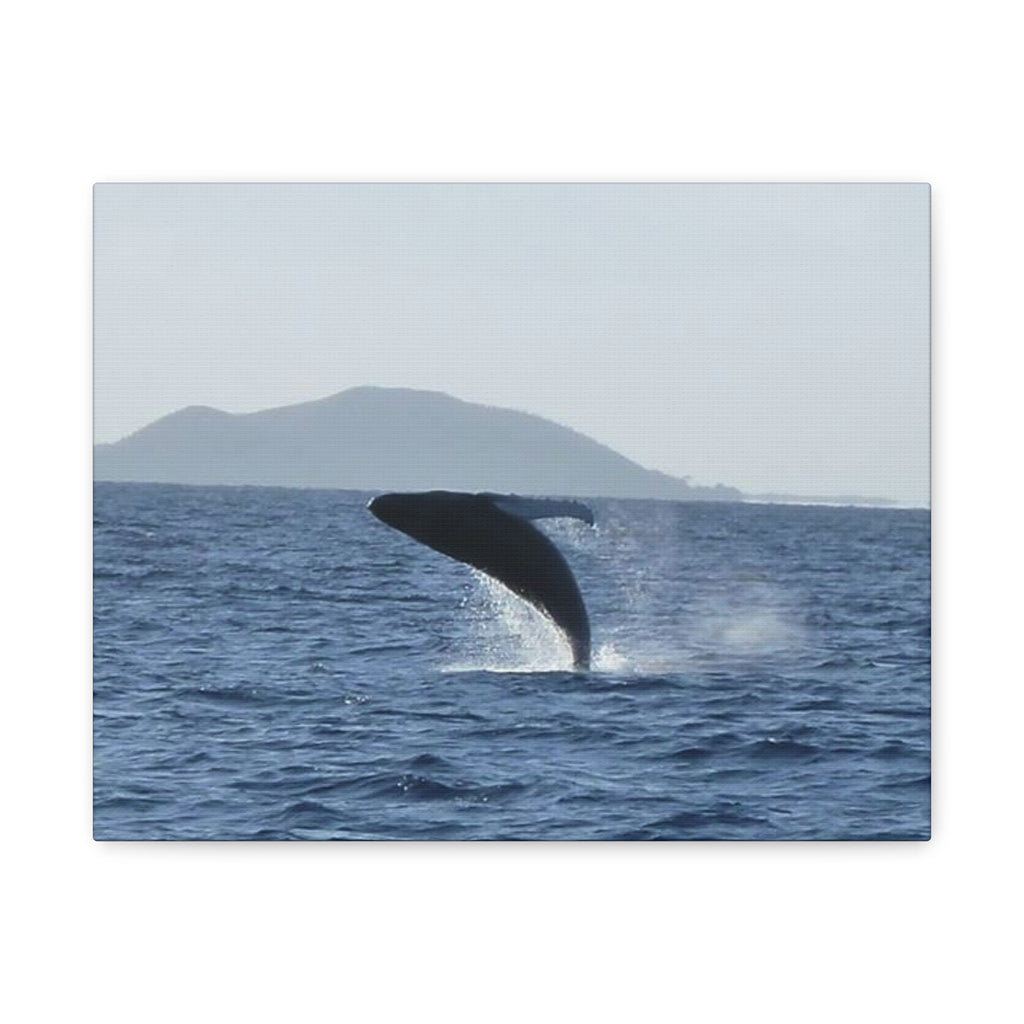 Humpback Whale Breach Matte Canvas Wall Art