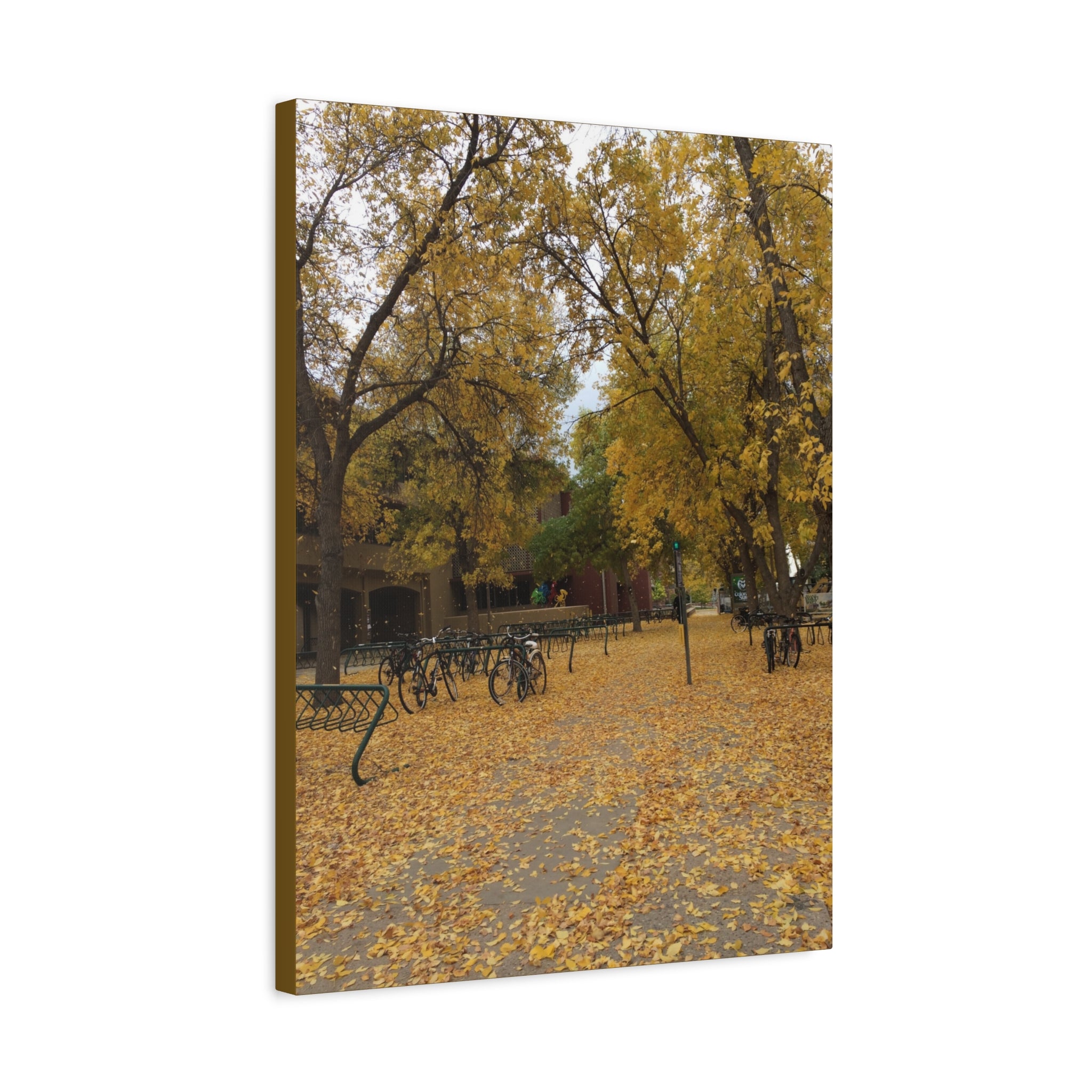 Autumn Campus Walk Matte Canvas Print