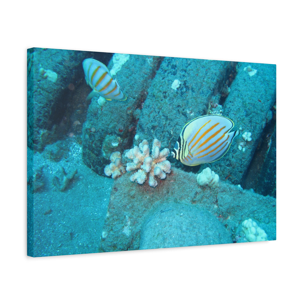 Tropical Butterflyfish Canvas Print — Underwater Coral Reef Wall Art