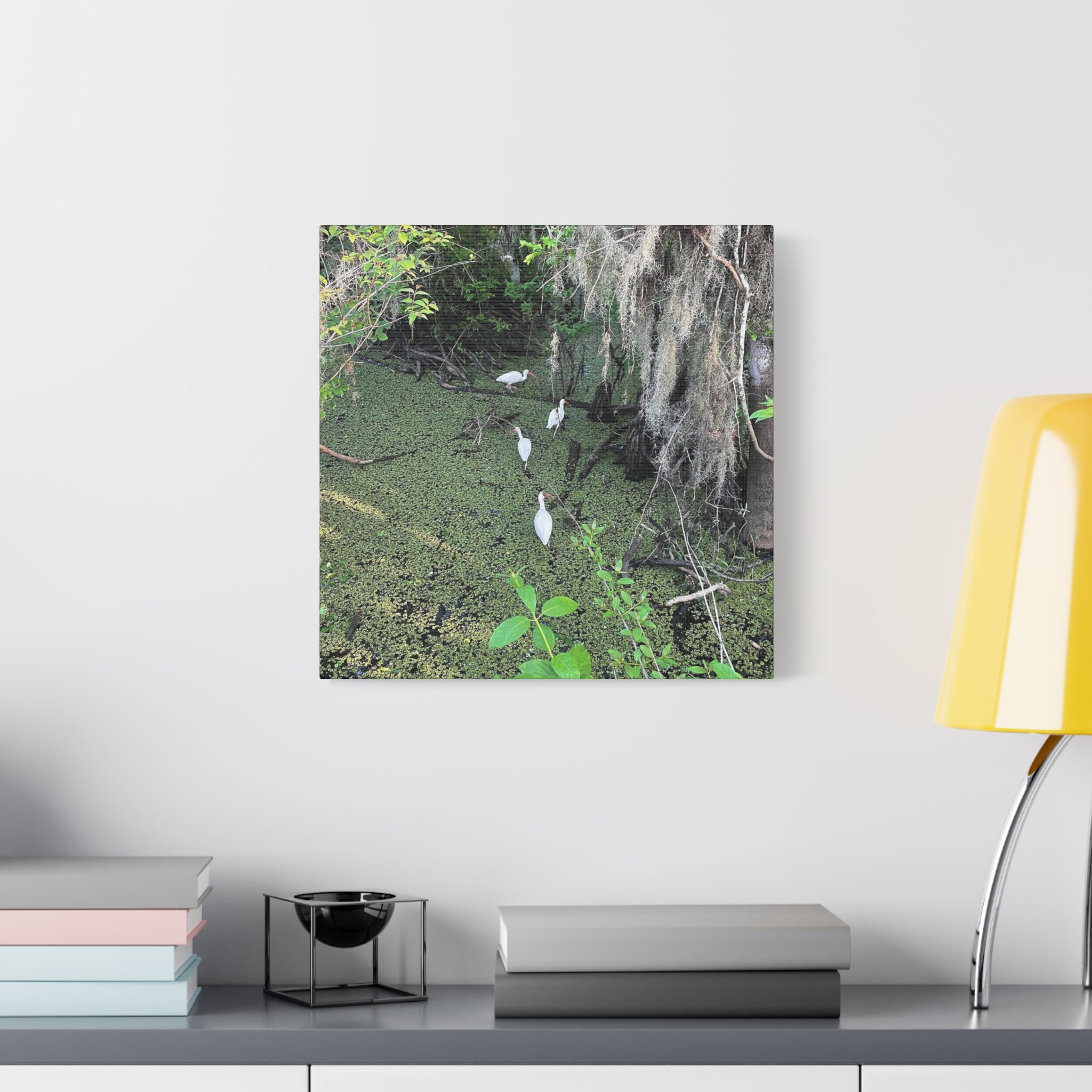 Swamp Egrets Canvas Print — Matte Stretched Nature Wall Art