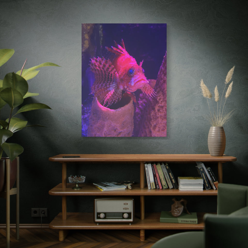 Fuzzy Dwarf Lionfish Canvas Print — Vibrant Marine Wall Art (1.25" Stretched)