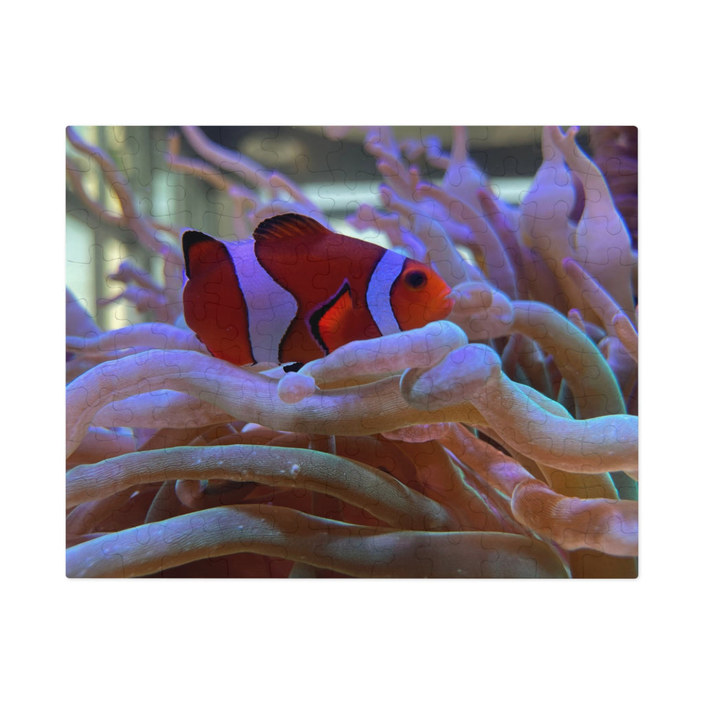 Clownfish Reef Jigsaw Puzzle — Puzzle with Tin Gift Box