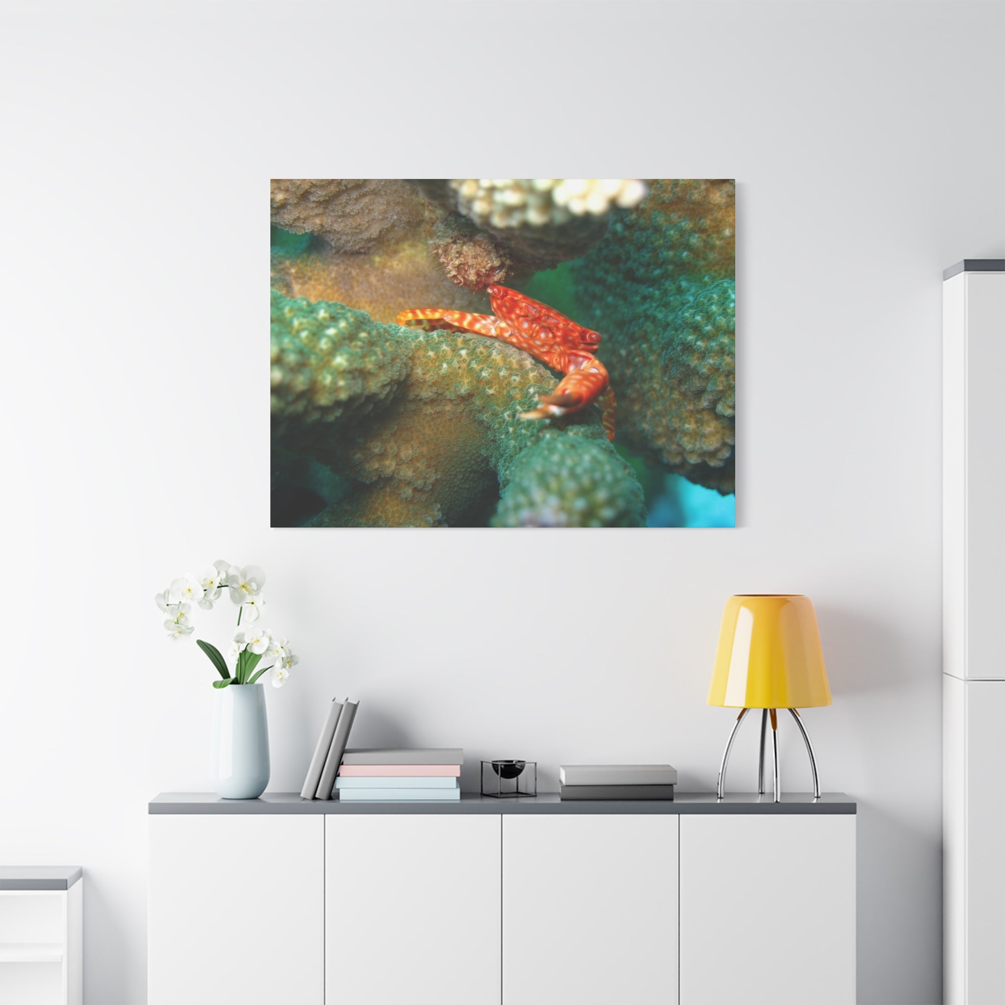 Coral Reef Crab Matte Canvas Print — Underwater Marine Wall Art