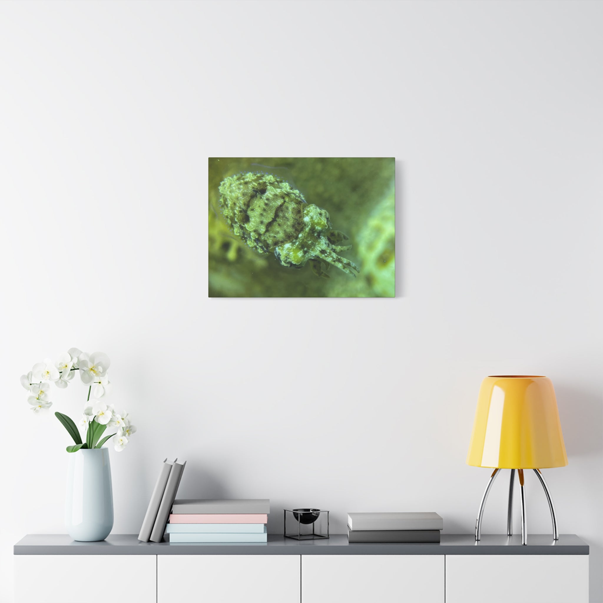 Dwarf Cuttlefish Canvas Print — Matte Stretched Sea Life Wall Art