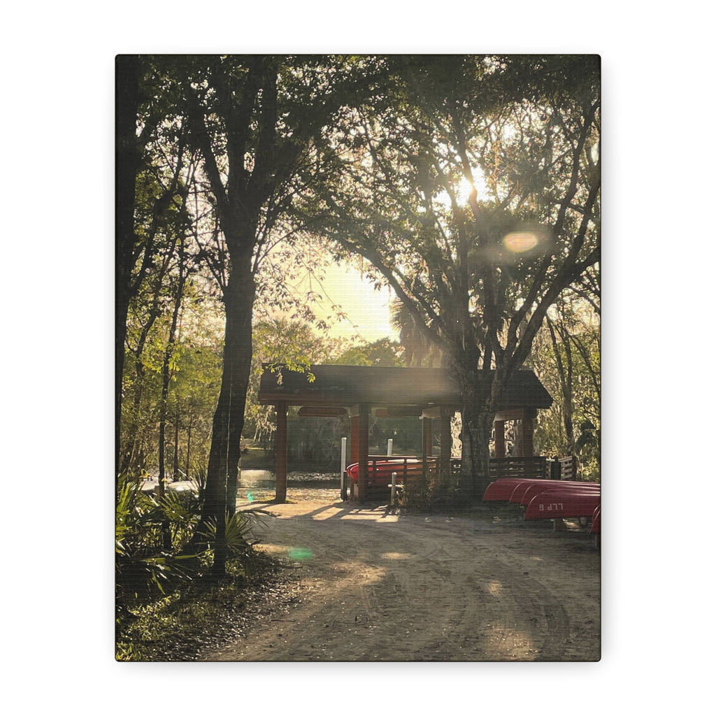Hazy Morning Kayak - Sunlit Forest Matte Stretched Wall Art