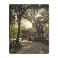 Hazy Morning Kayak - Sunlit Forest Matte Stretched Wall Art