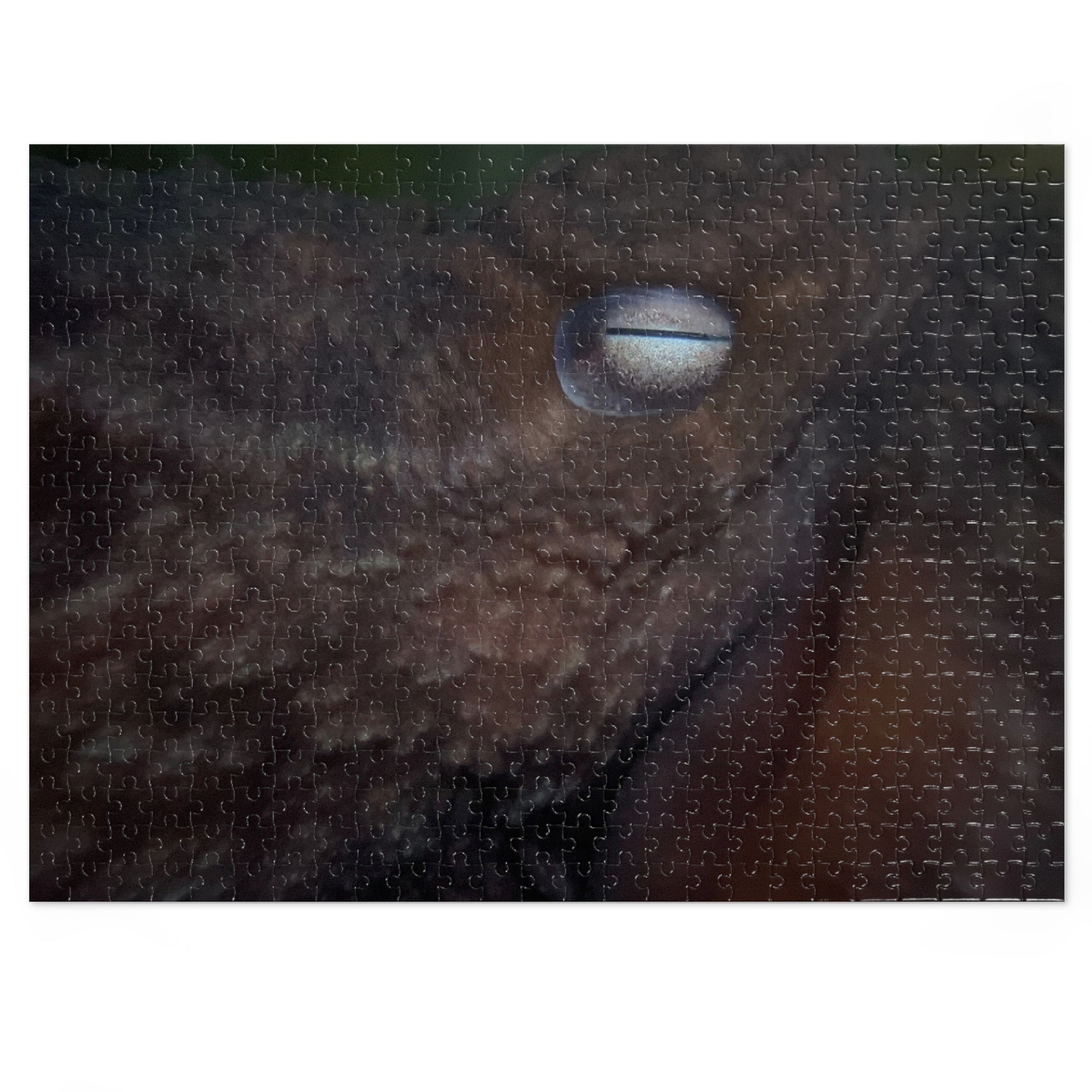 Octopus Eye Jigsaw Puzzle with Tin — Dark Ocean Marine Life Puzzle Gift