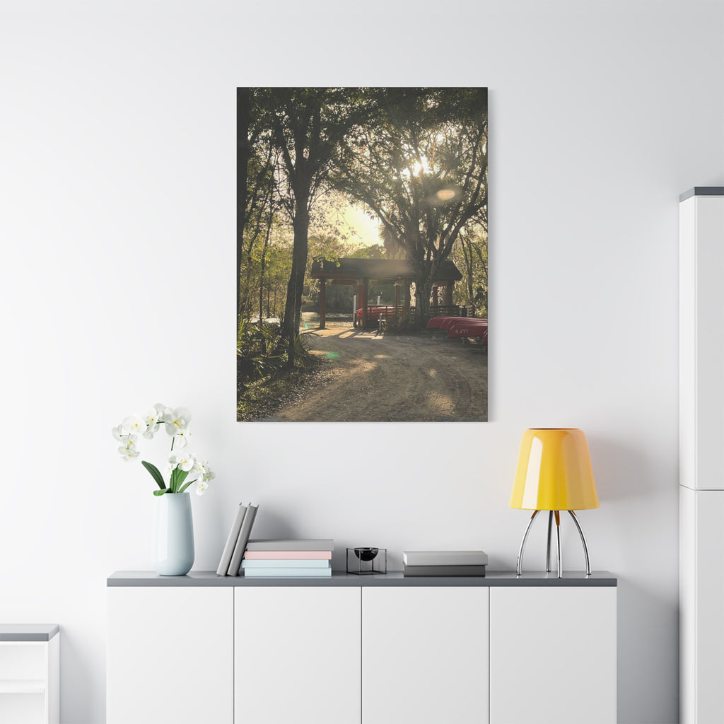 Hazy Morning Kayak - Sunlit Forest Matte Stretched Wall Art