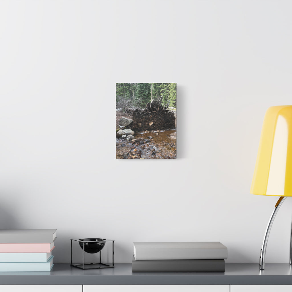 Riverbank Forest Canvas Print – Matte Stretched Wall Art (1.25")