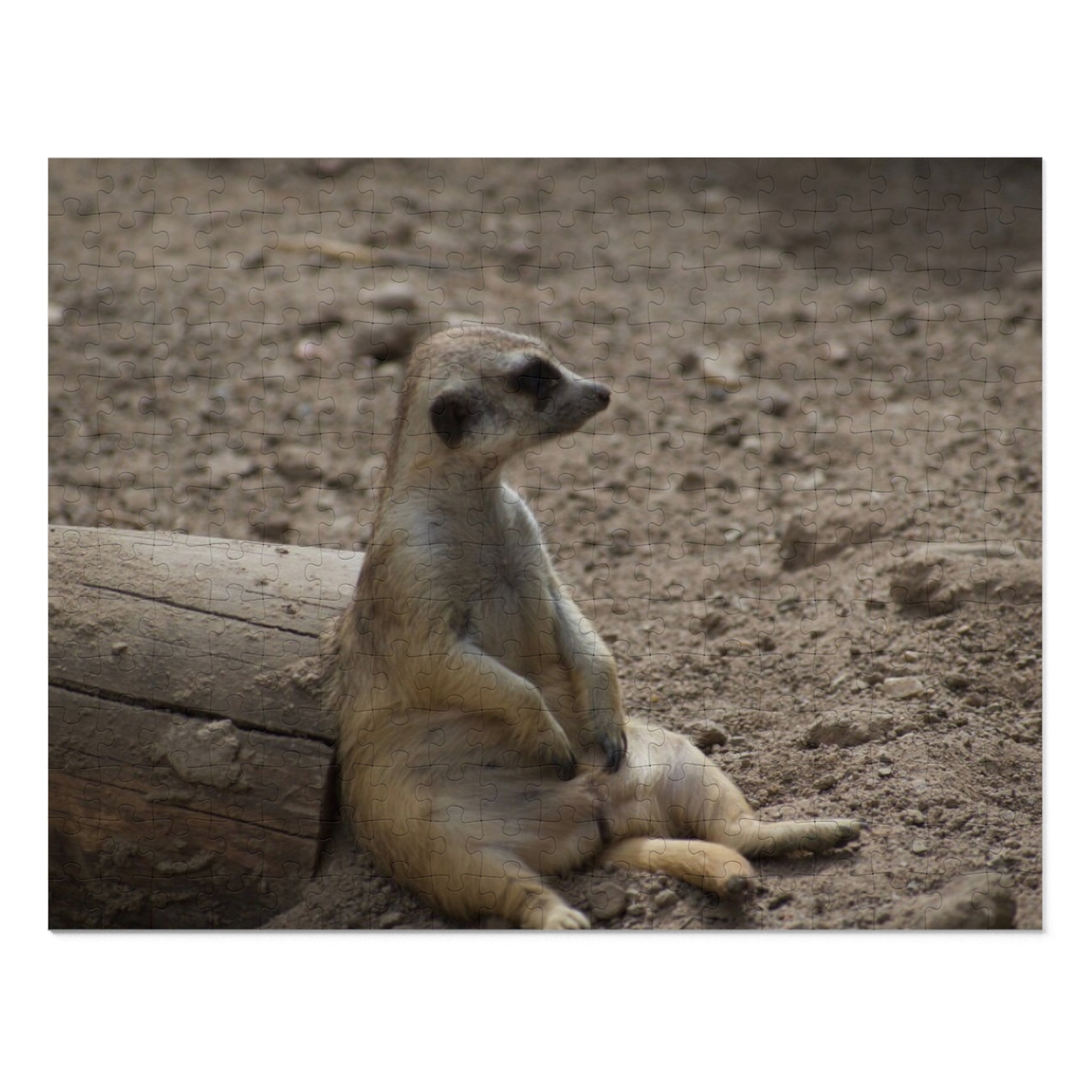 Meerkat Relaxing Jigsaw Puzzle Tin — Wildlife Puzzle Gift