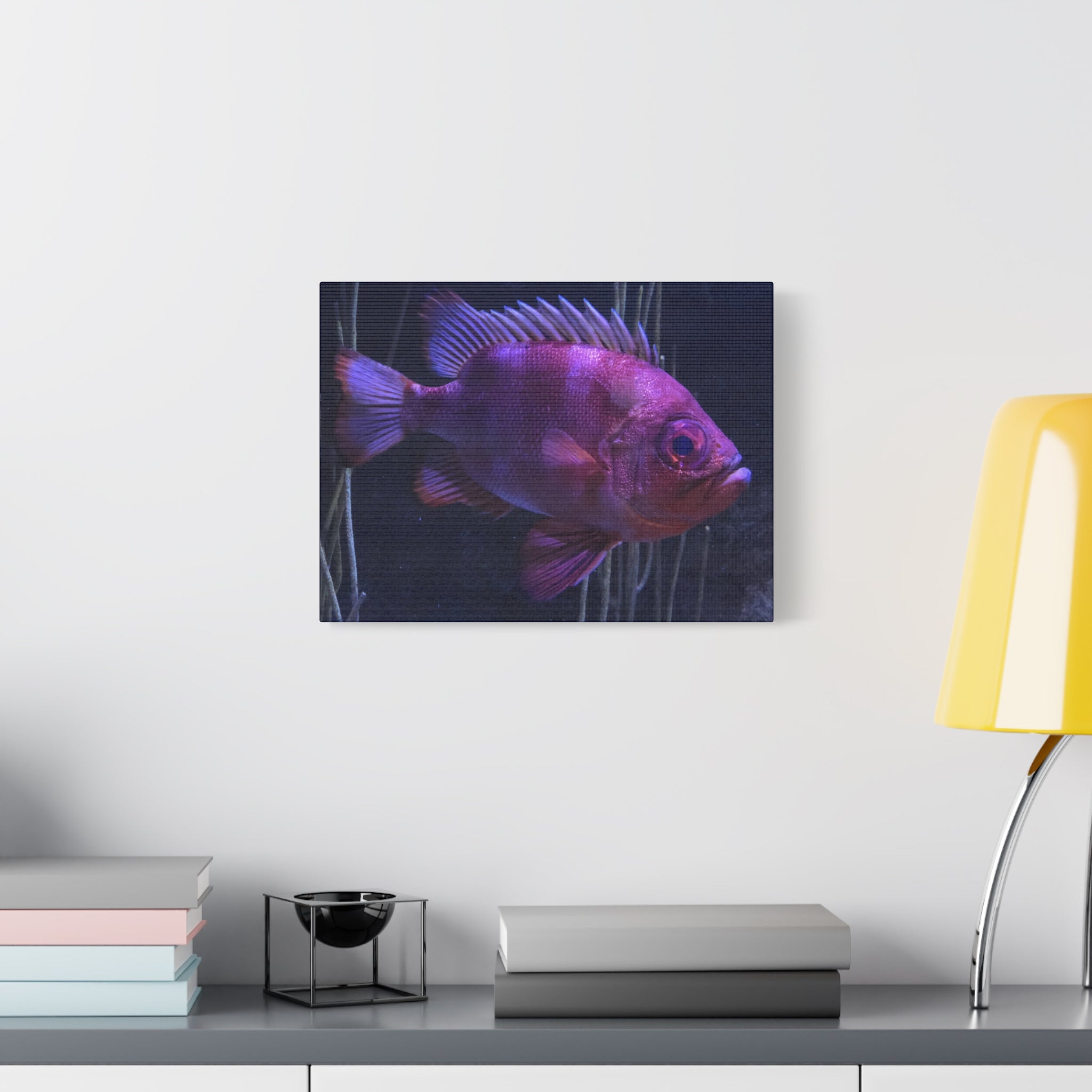 Popeye Catalufa Canvas Print — Vibrant Ocean Wall Art