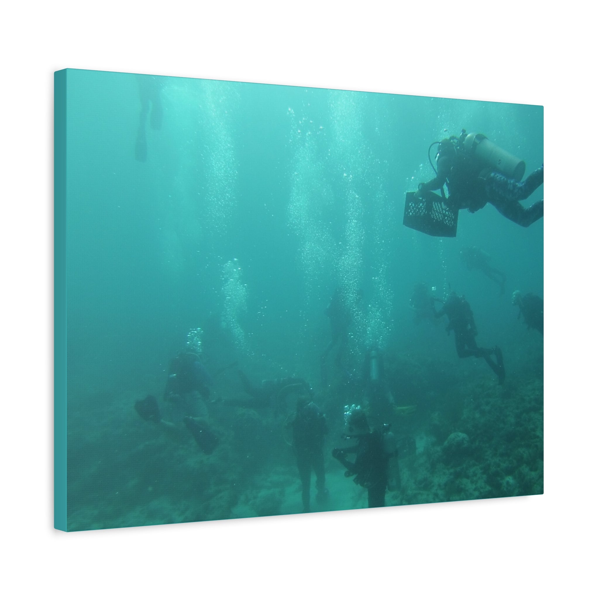 Diving over the Reef Matte Canvas