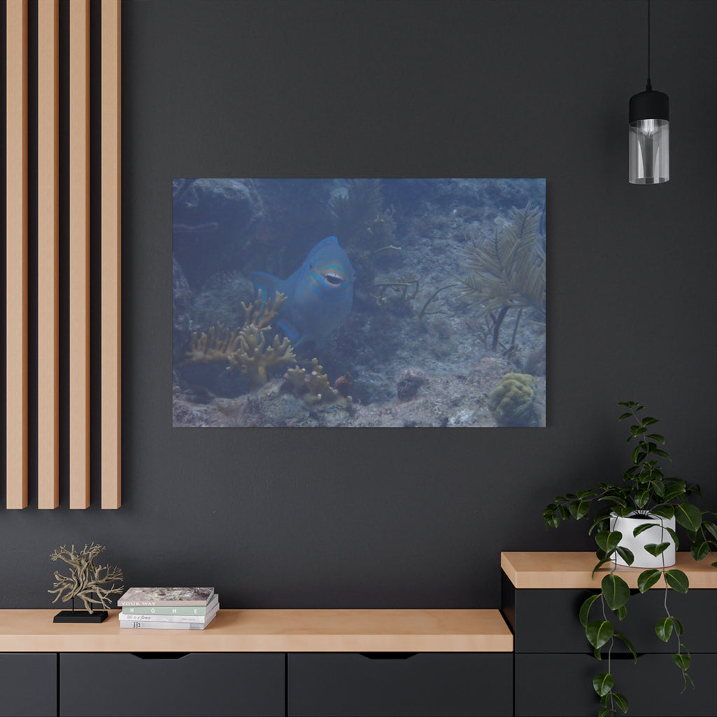 Underwater Parrotfish Canvas Print — Tropical Reef Wall Art