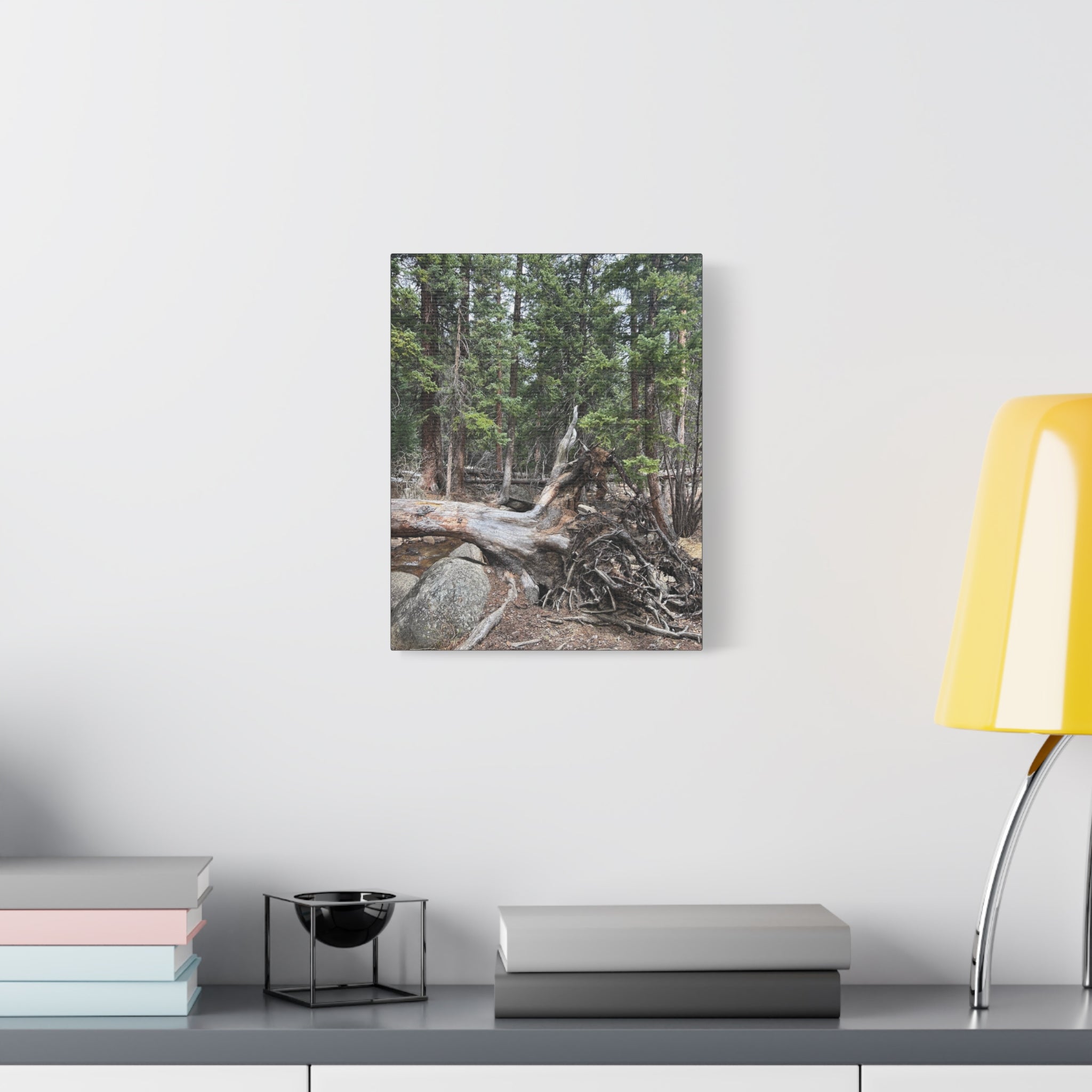 Forest Rootscape Matte Canvas Print — Stretched Wall Art