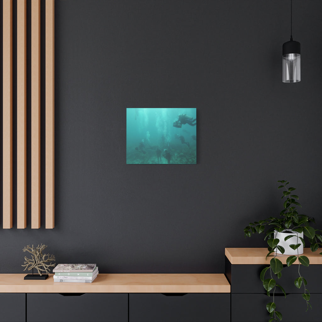 Diving over the Reef Matte Canvas
