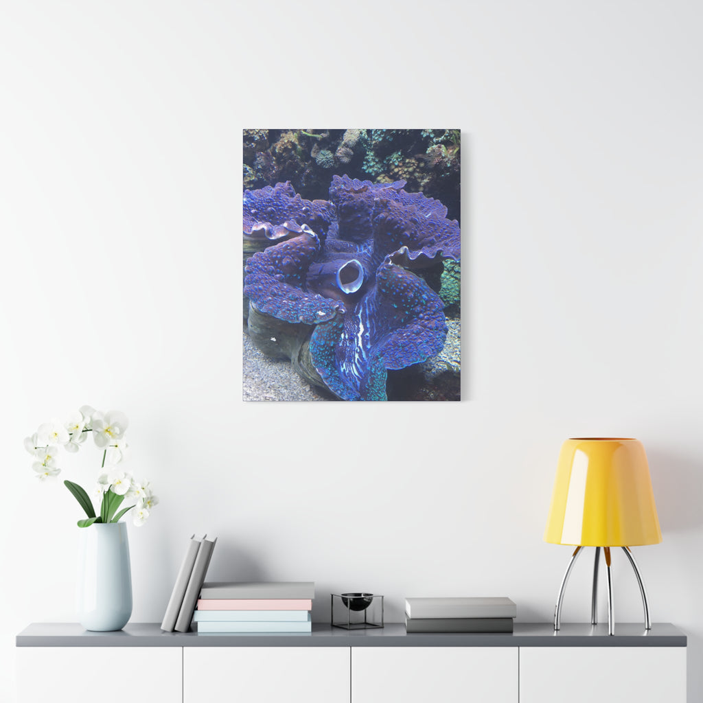 Blue Tridacna Clam Matte Canvas Print — Vibrant Ocean Coral Wall Art