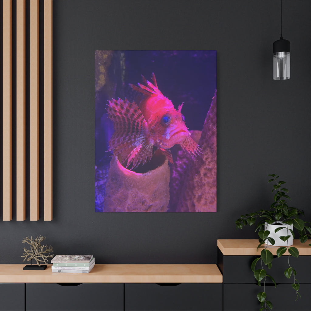 Fuzzy Dwarf Lionfish Canvas Print — Vibrant Marine Wall Art (1.25" Stretched)