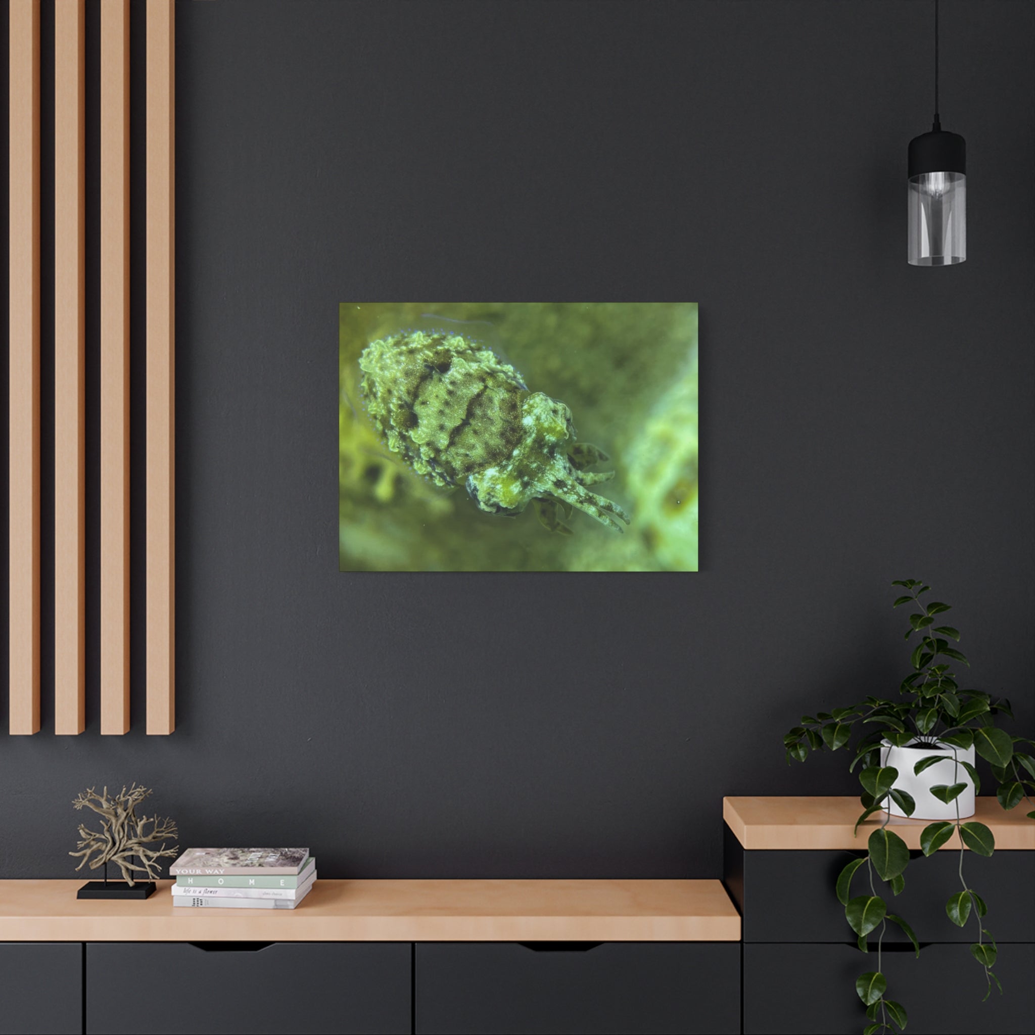 Dwarf Cuttlefish Canvas Print — Matte Stretched Sea Life Wall Art
