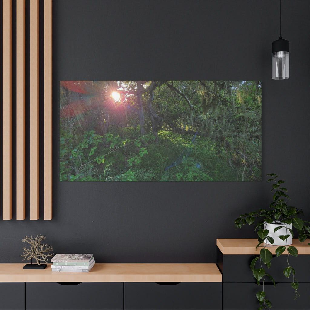 Sunlit Mossy Forest Canvas — Matte Stretched Wall Art