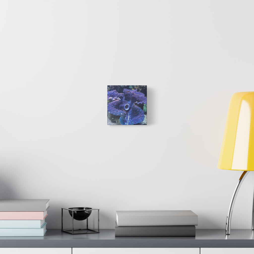 Blue Tridacna Clam Matte Canvas Print — Vibrant Ocean Coral Wall Art