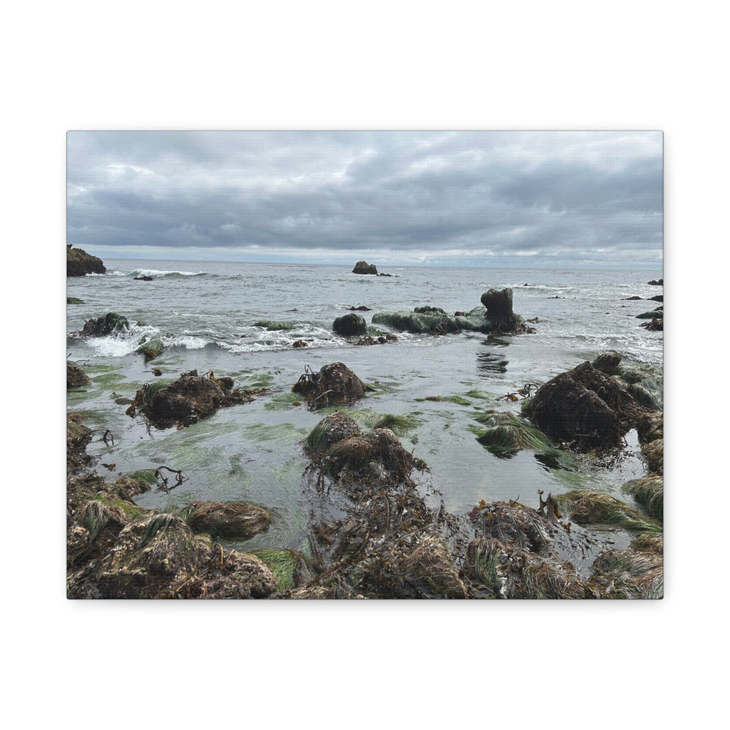 Coastal Tidepool Canvas Wall Art – Moody Gray Seashore Matte Stretched Canvas