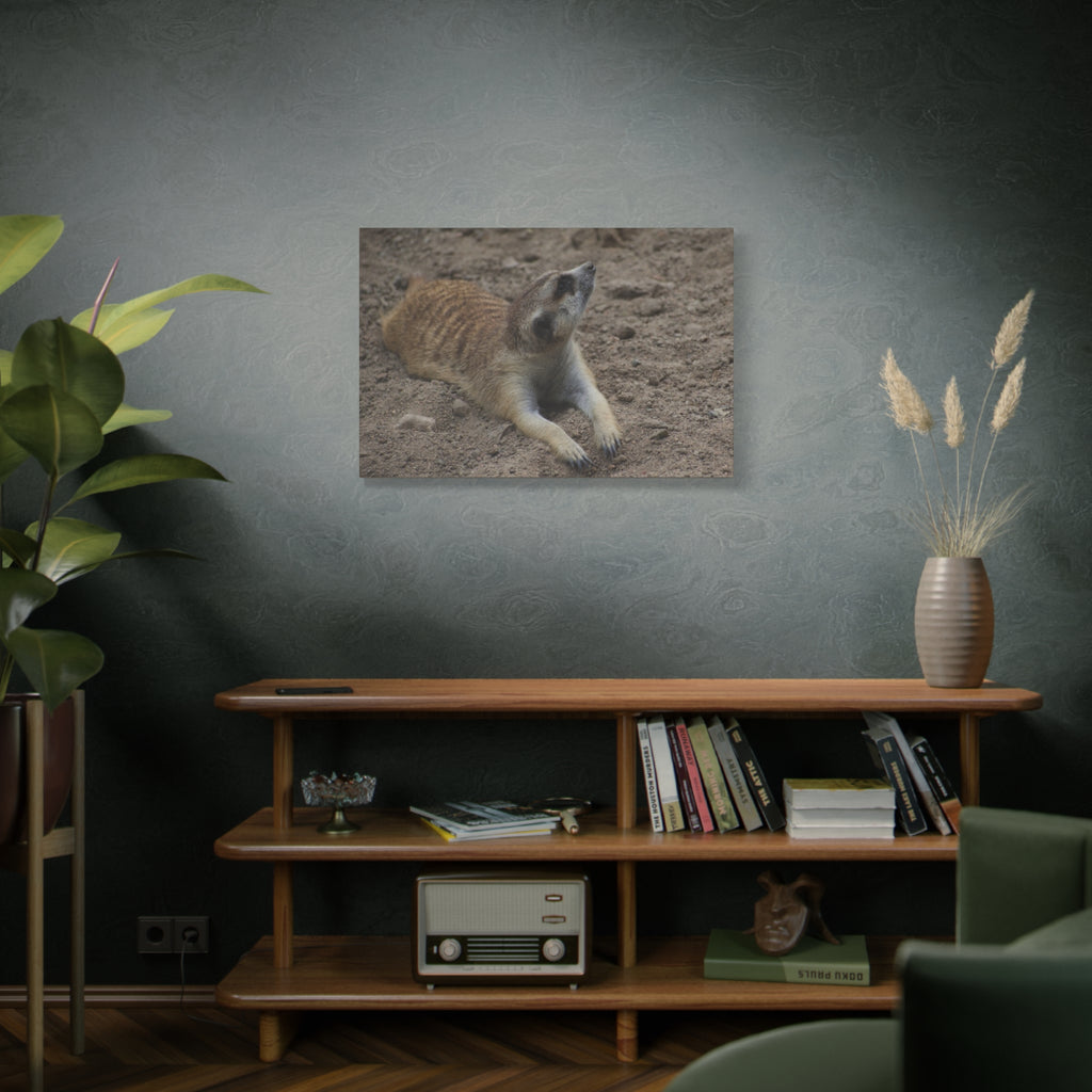 Meerkat Stretch Canvas Wall Art – Relaxed Desert Wildlife Print