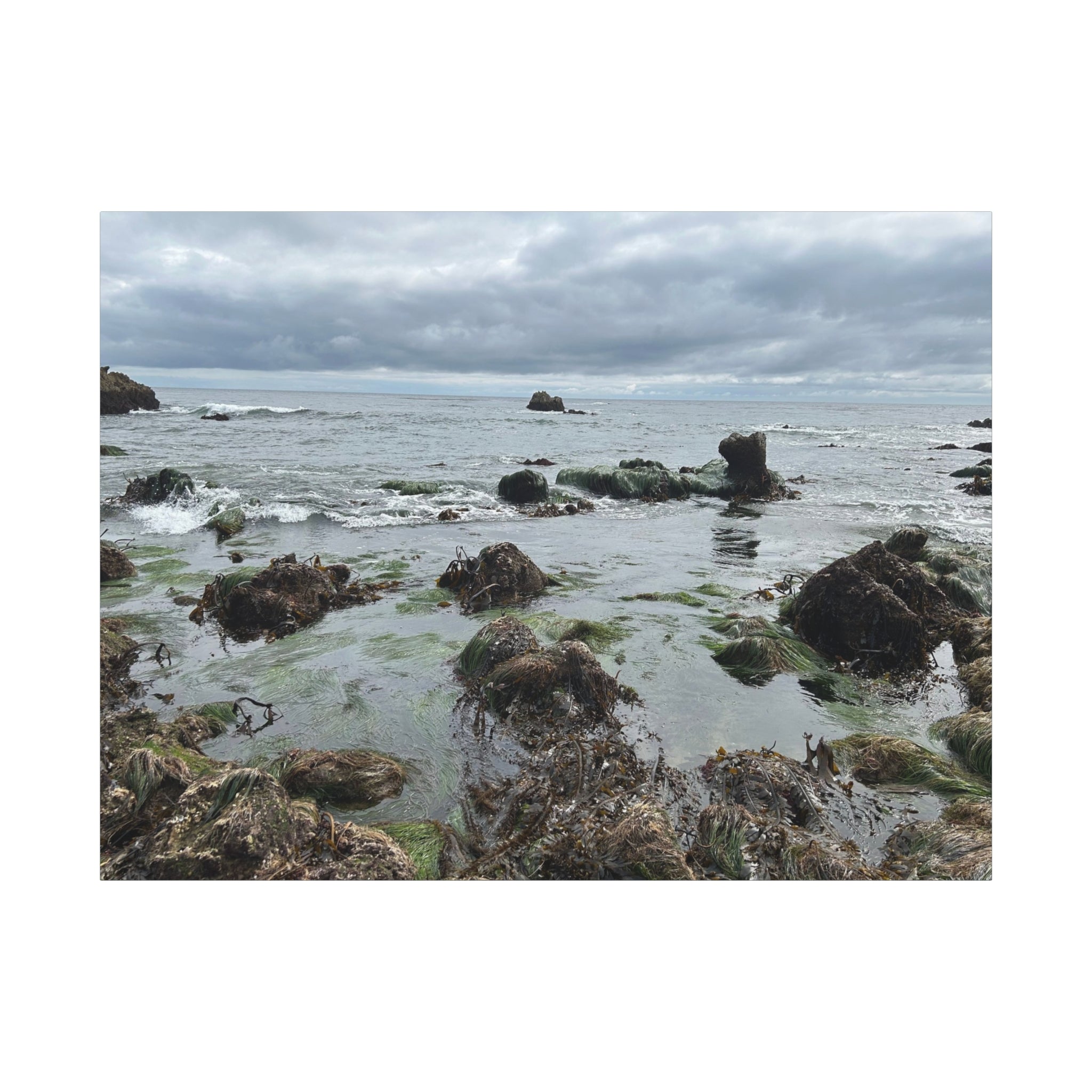 Coastal Tidepool Canvas Wall Art – Moody Gray Seashore Matte Stretched Canvas