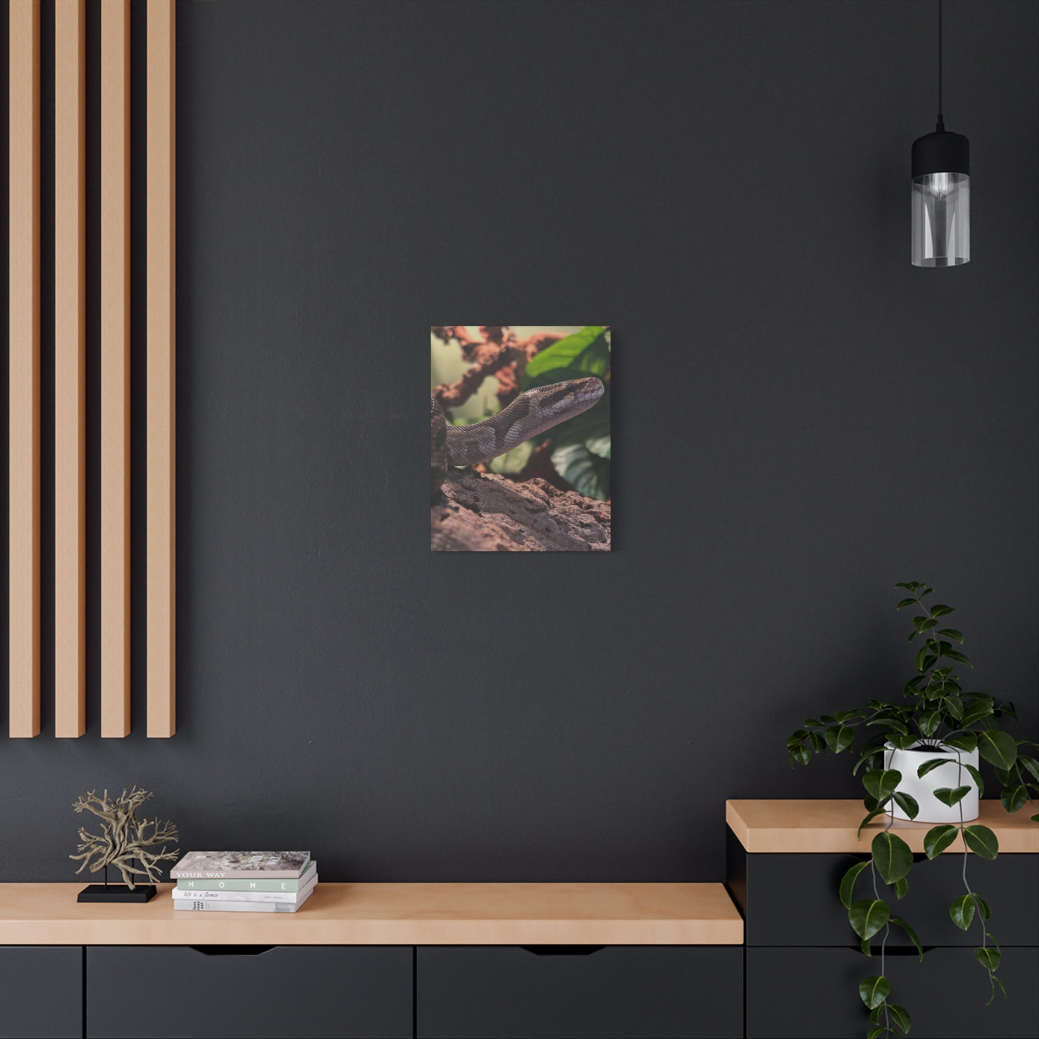 Ball Python Wildlife Matte Stretched Canvas Print — Reptile Wall Art