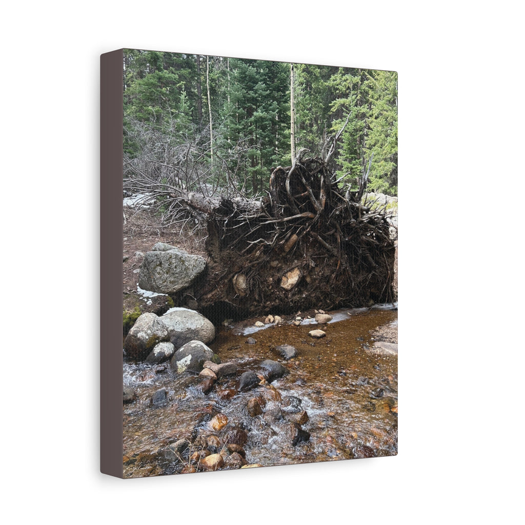 Riverbank Forest Canvas Print – Matte Stretched Wall Art (1.25")